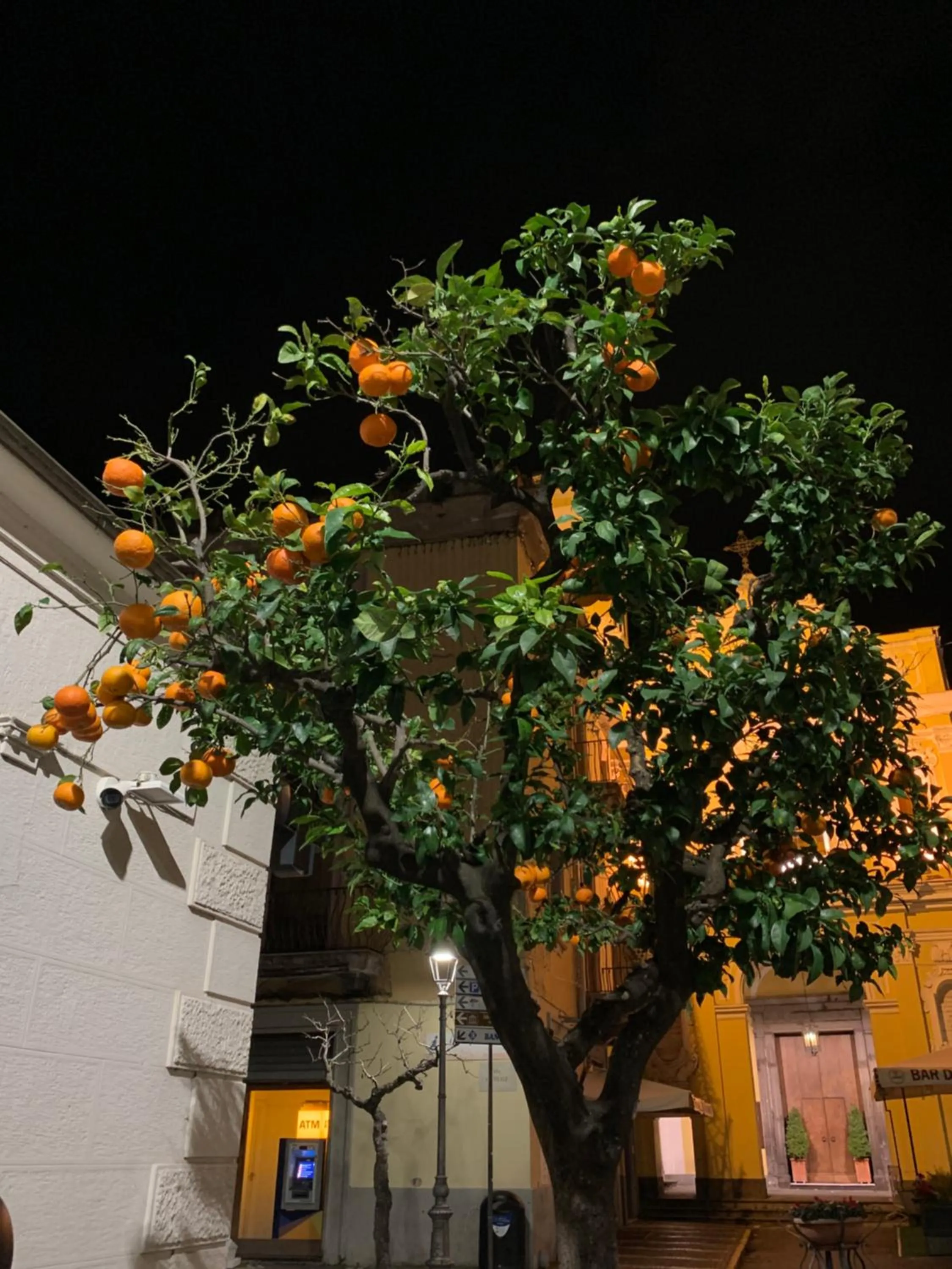 Property building in la dimora di Cornelia