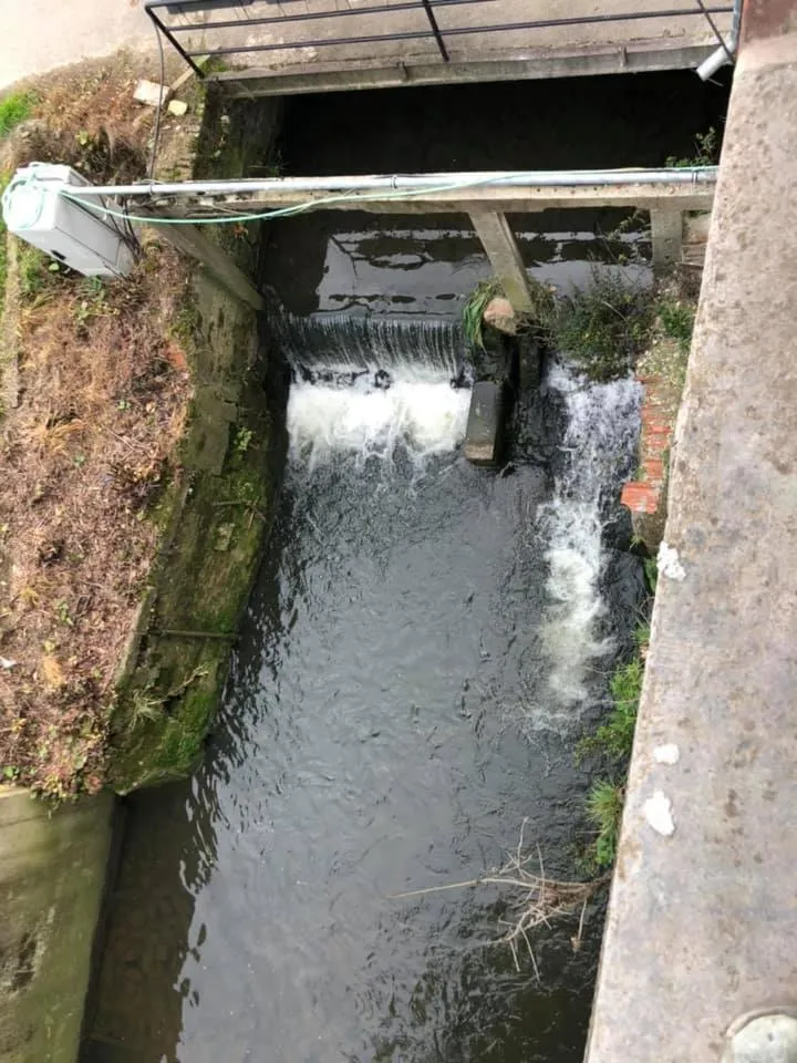 Double Room - single occupancy in B&B Langeveldemolen