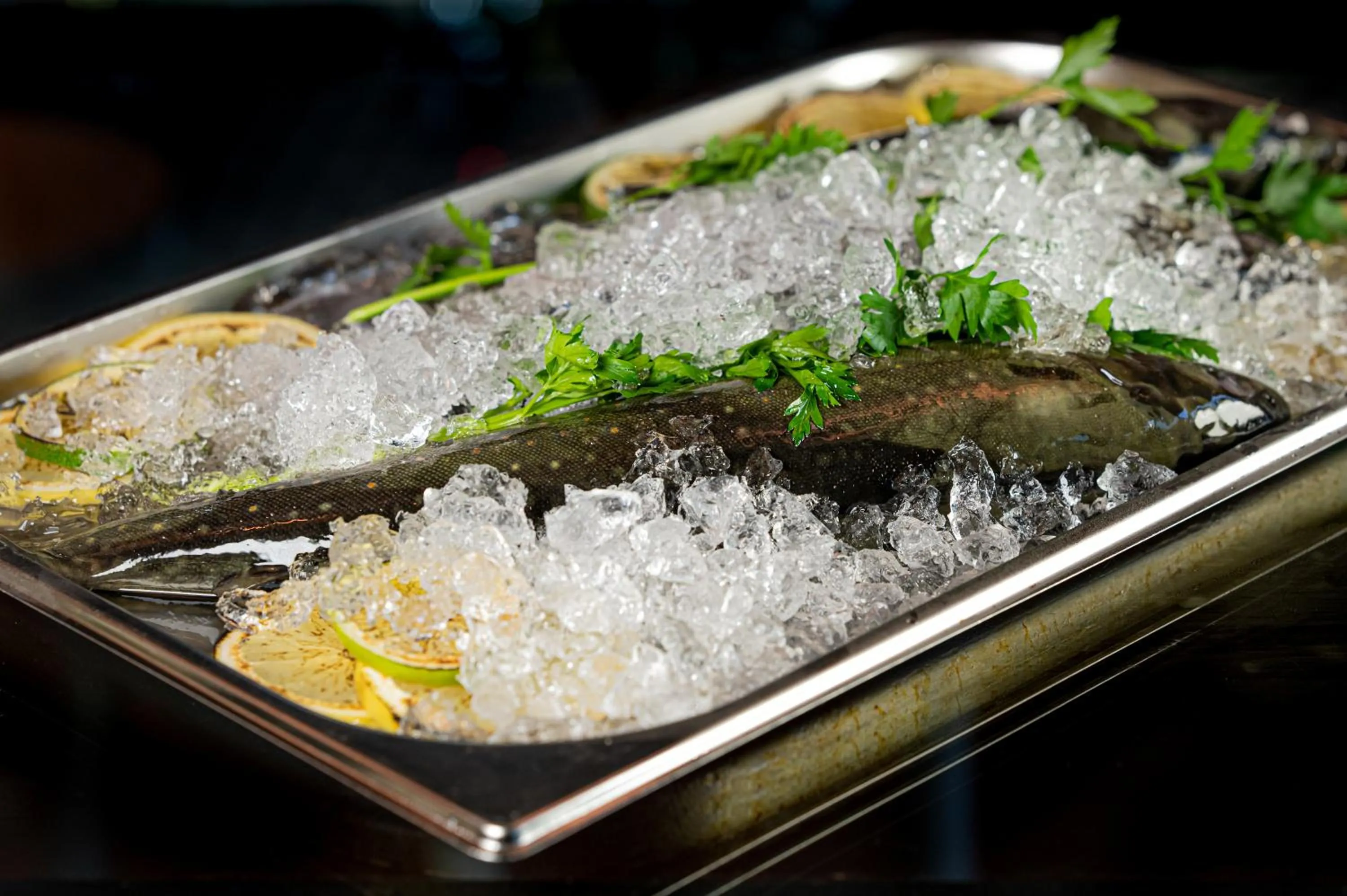 Gucio - pokoje z restauracją Szczyrk