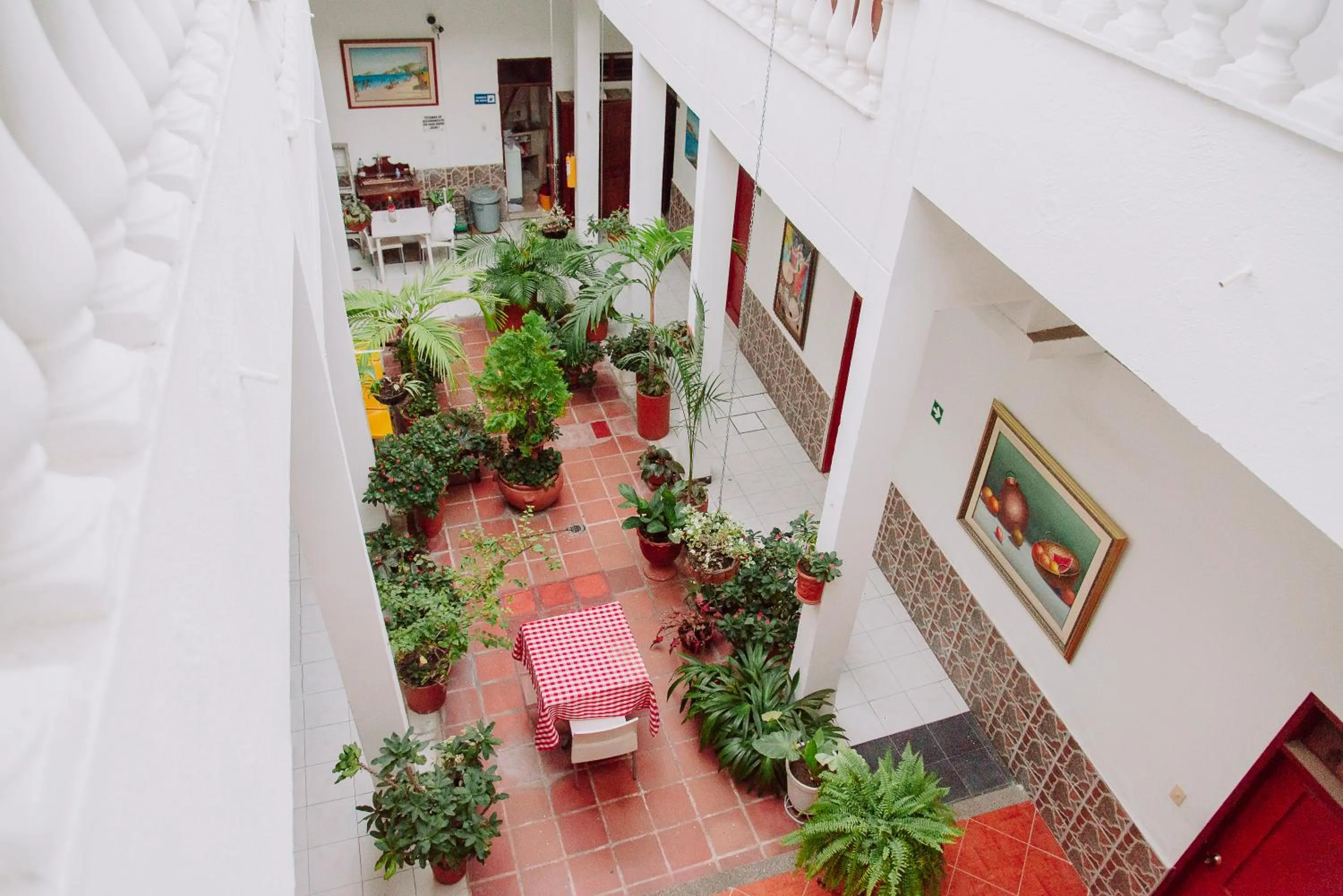 Garden view in Ayenda 1614 Playa y Mar