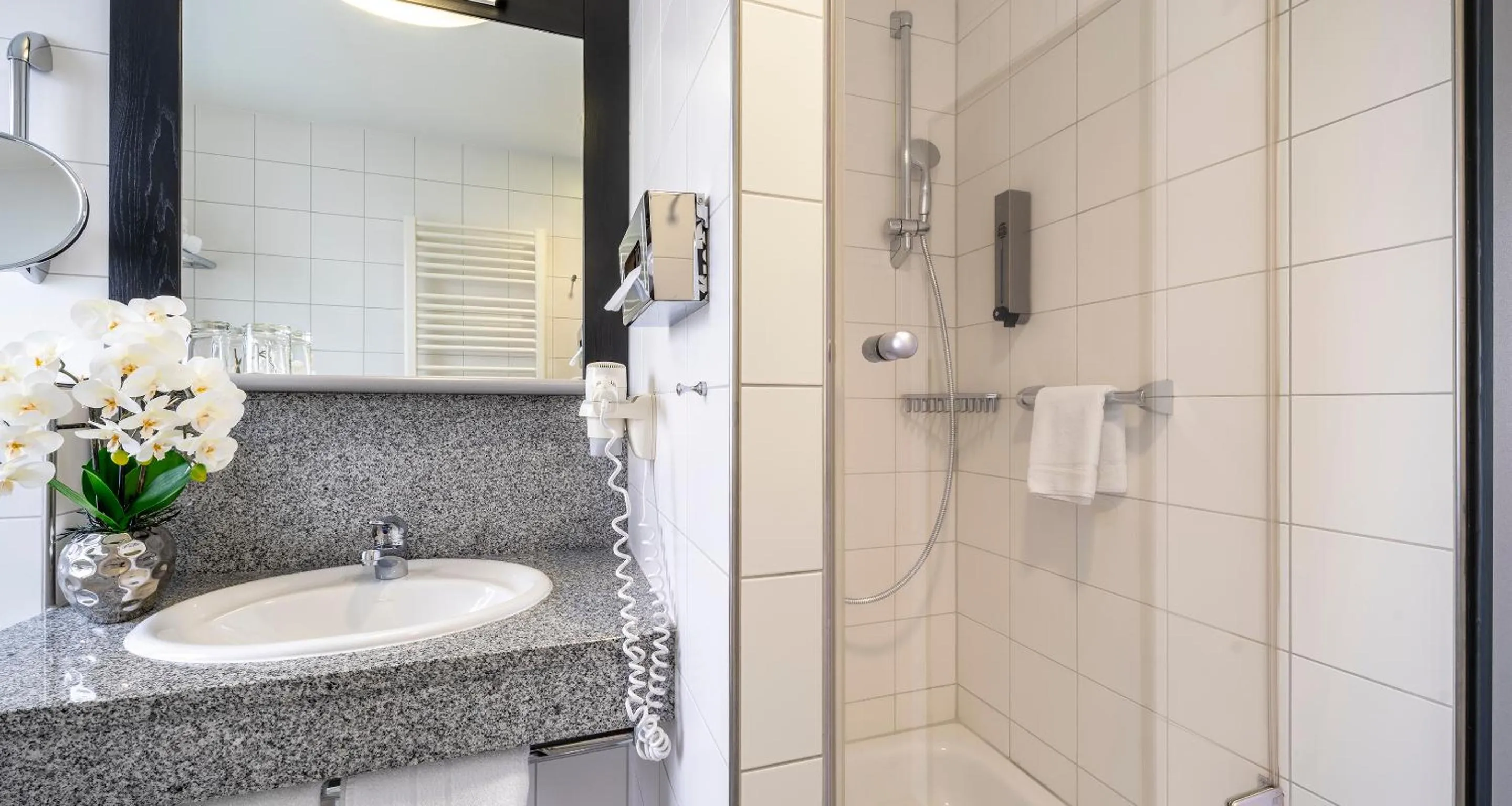 Shower in PLAZA INN Heidehof