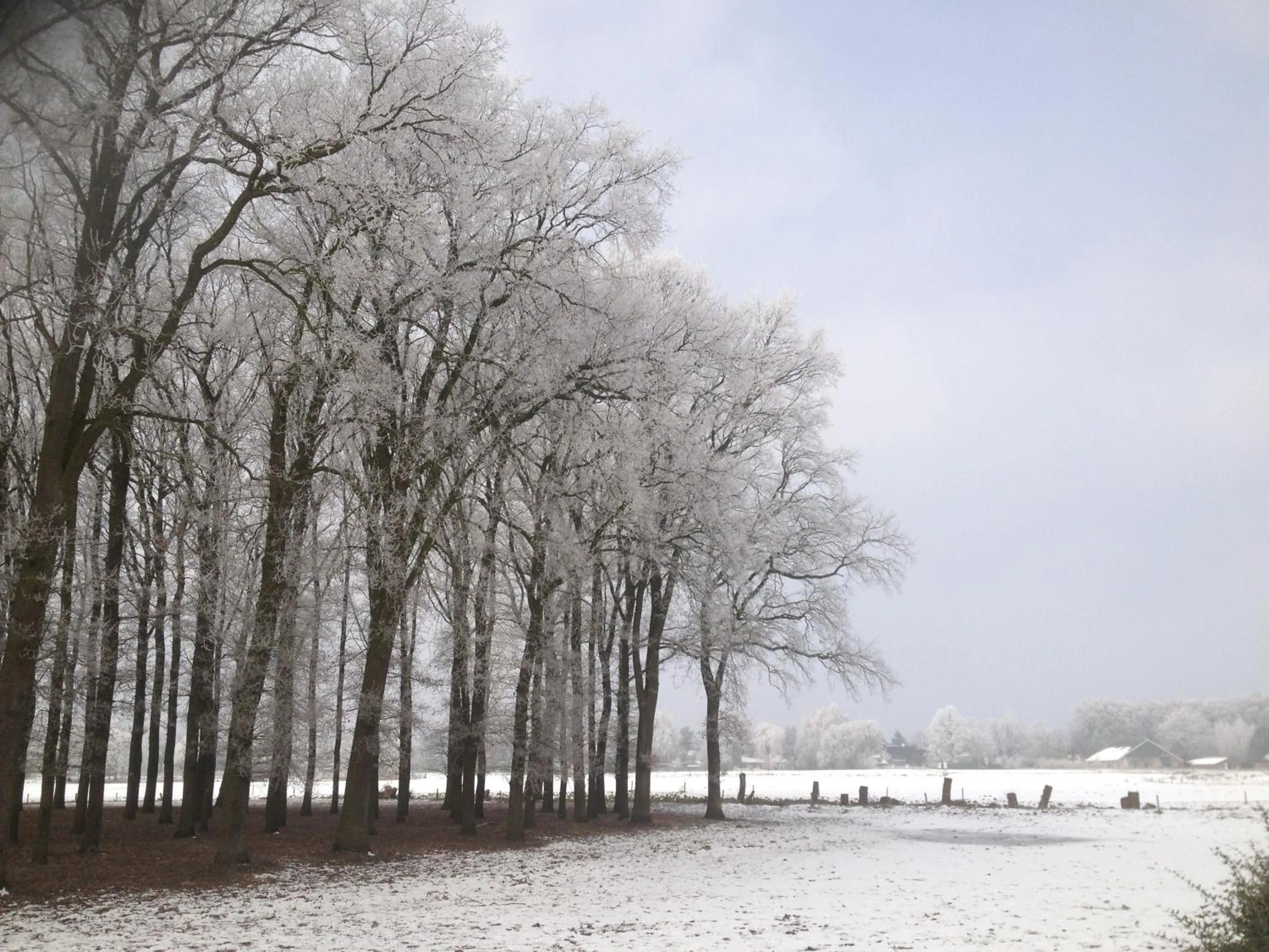 Natural landscape in Erve iemhorst