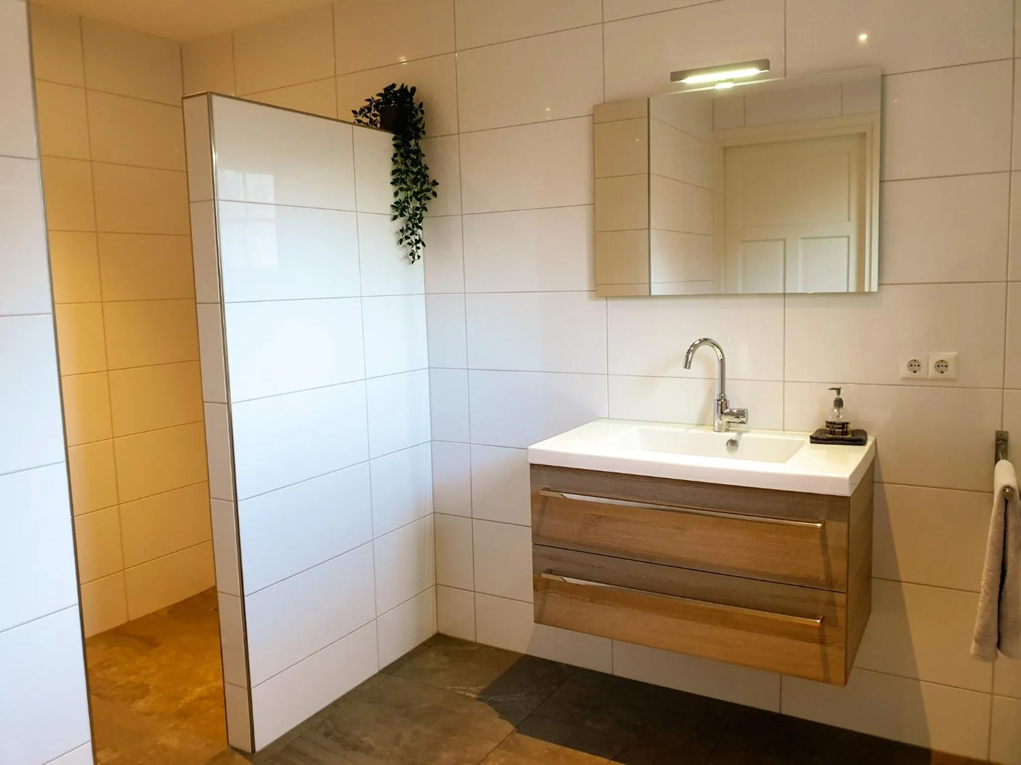 Bathroom in Erve iemhorst