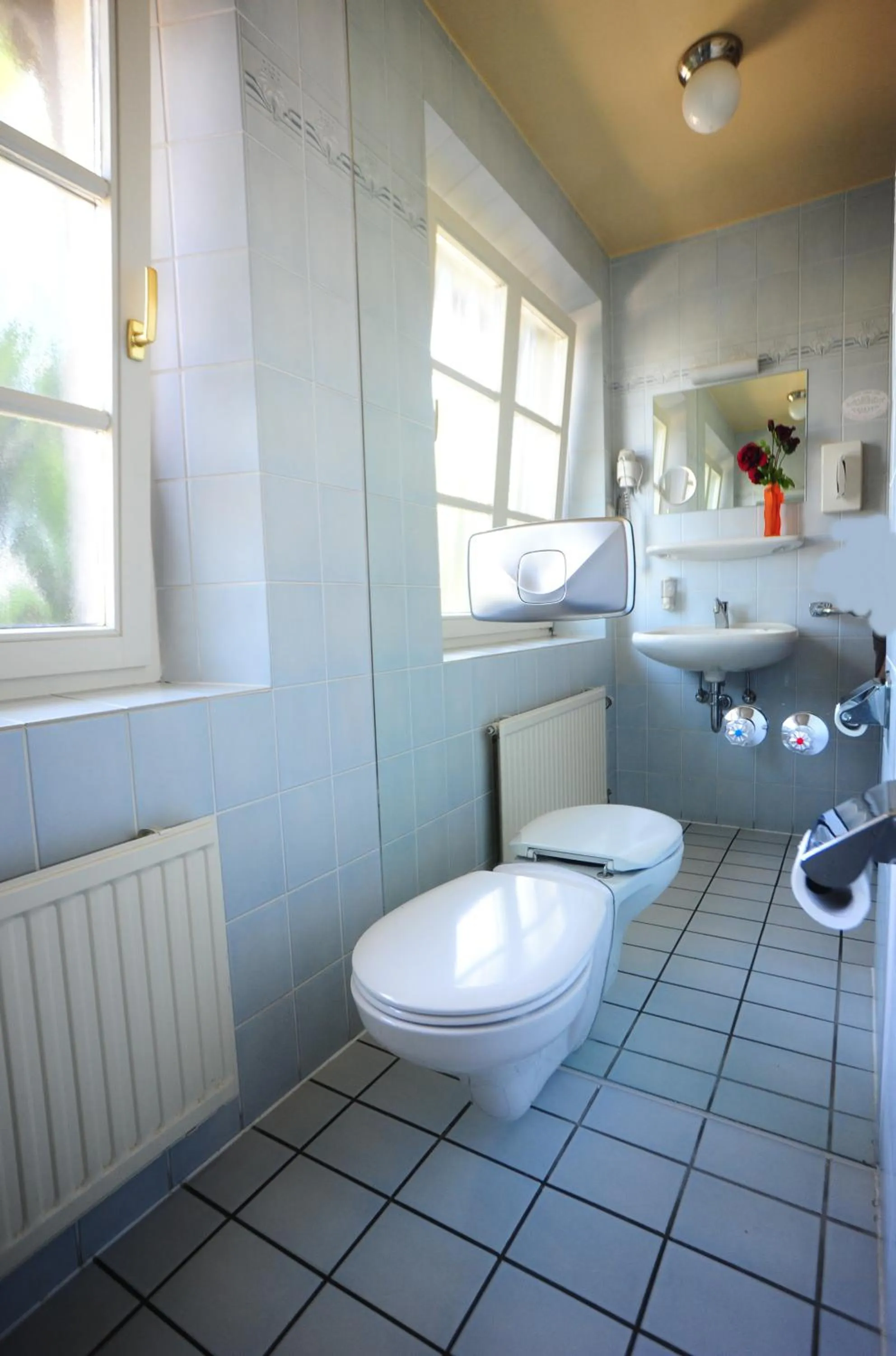 Toilet in Hotel Pontivy