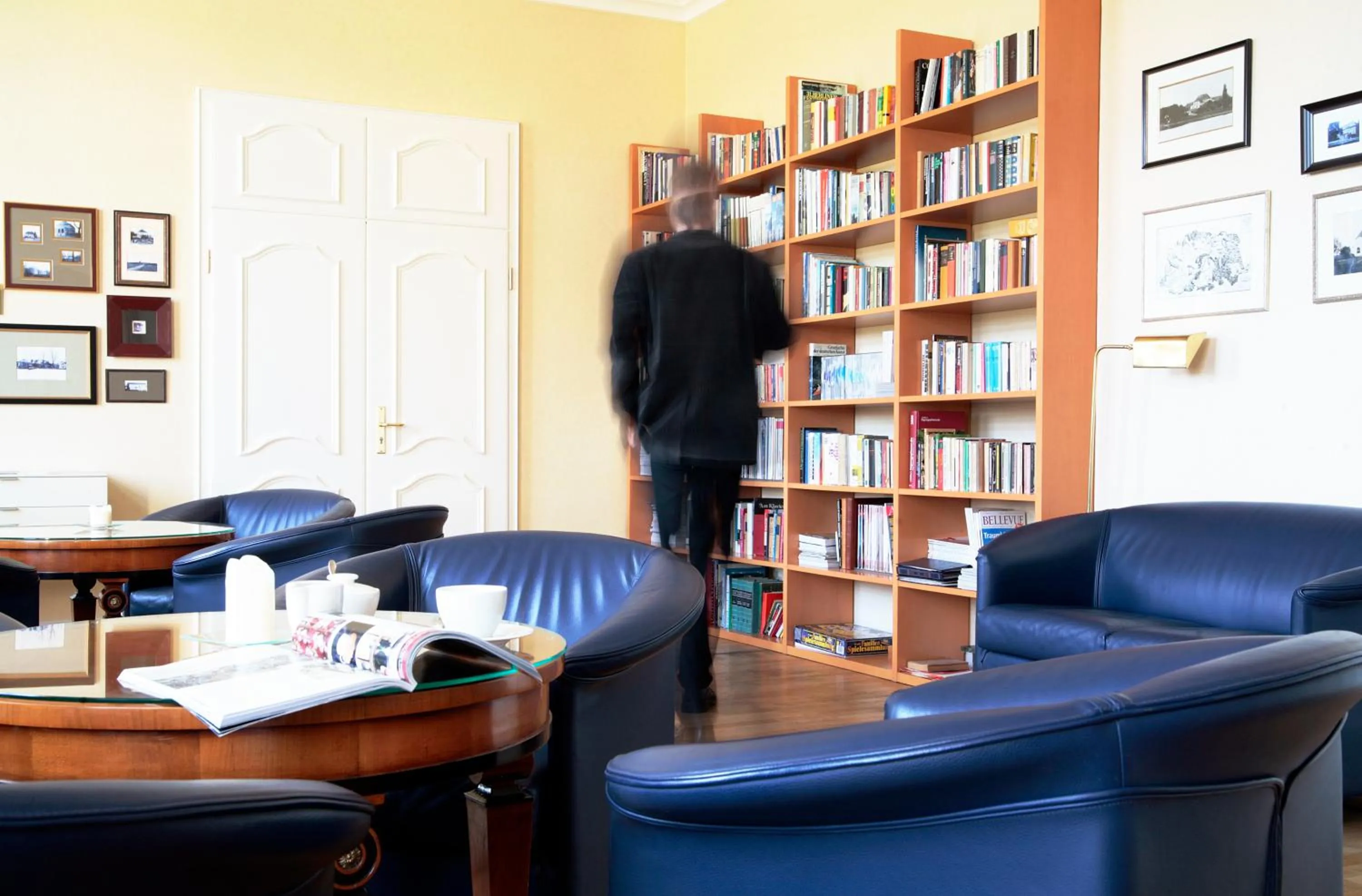 Library in Gut Gremmelin