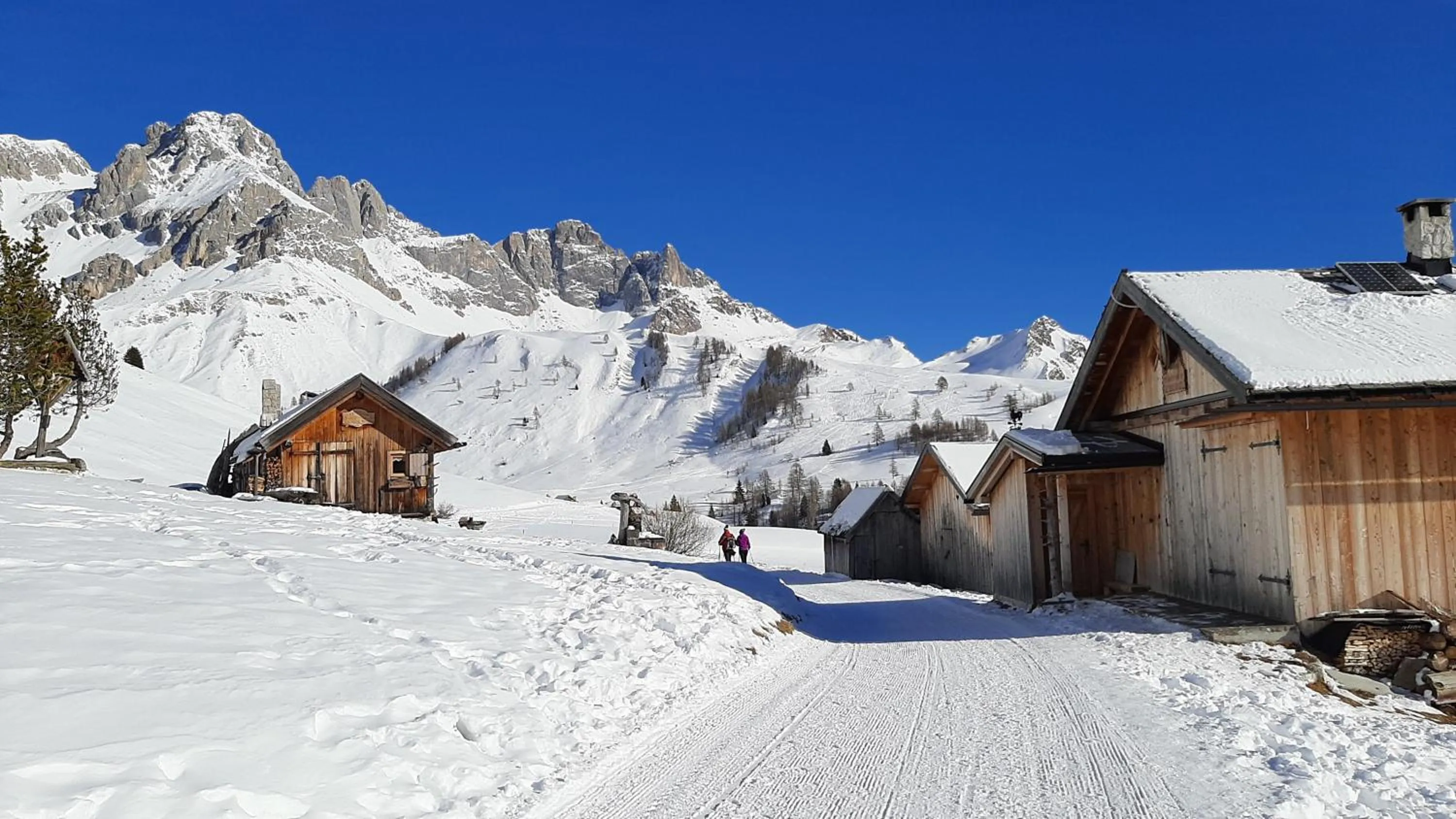 Natural landscape in B&BeautyFol Dolomites B&B adults only