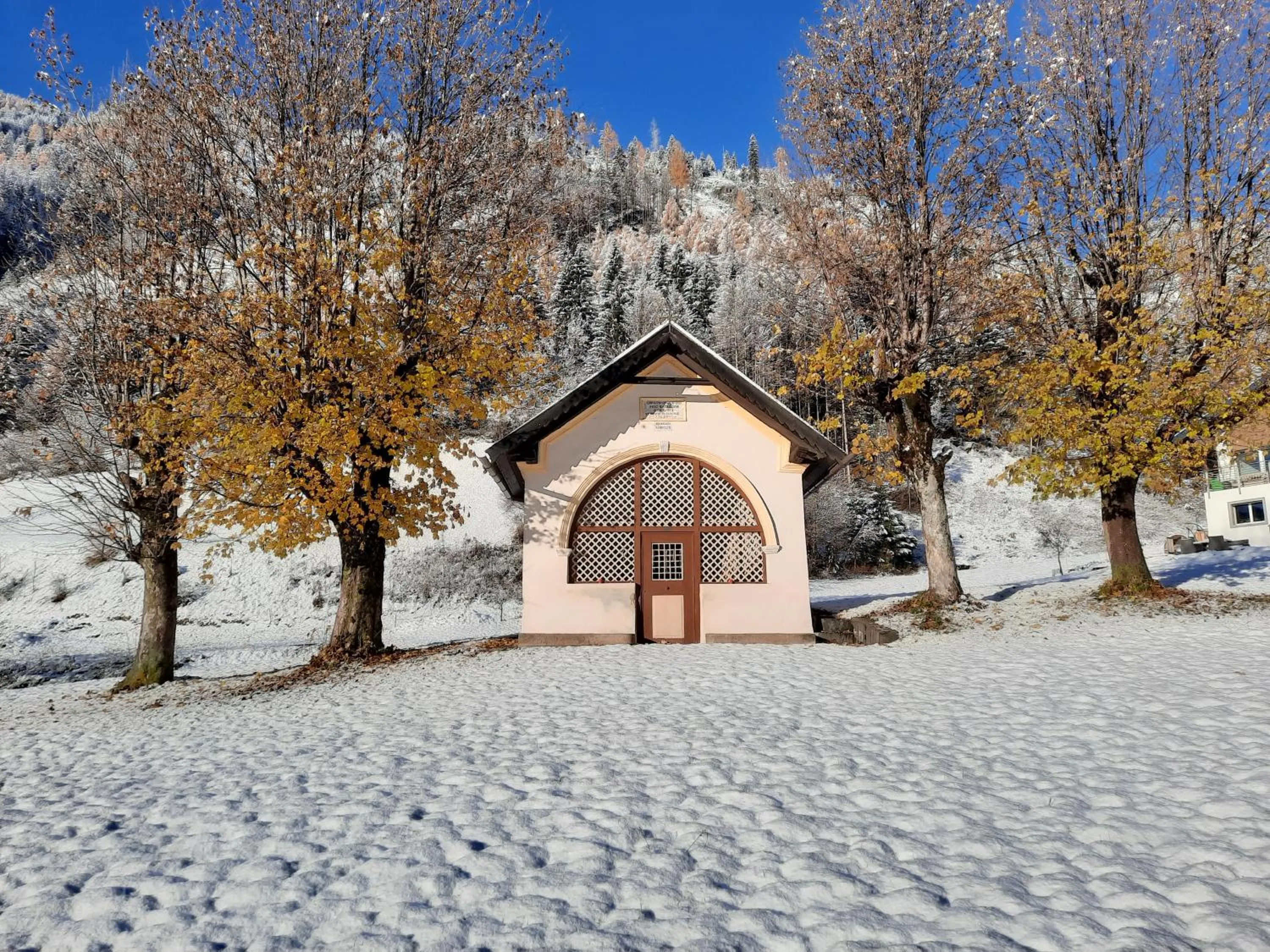 Natural landscape in B&BeautyFol Dolomites B&B adults only