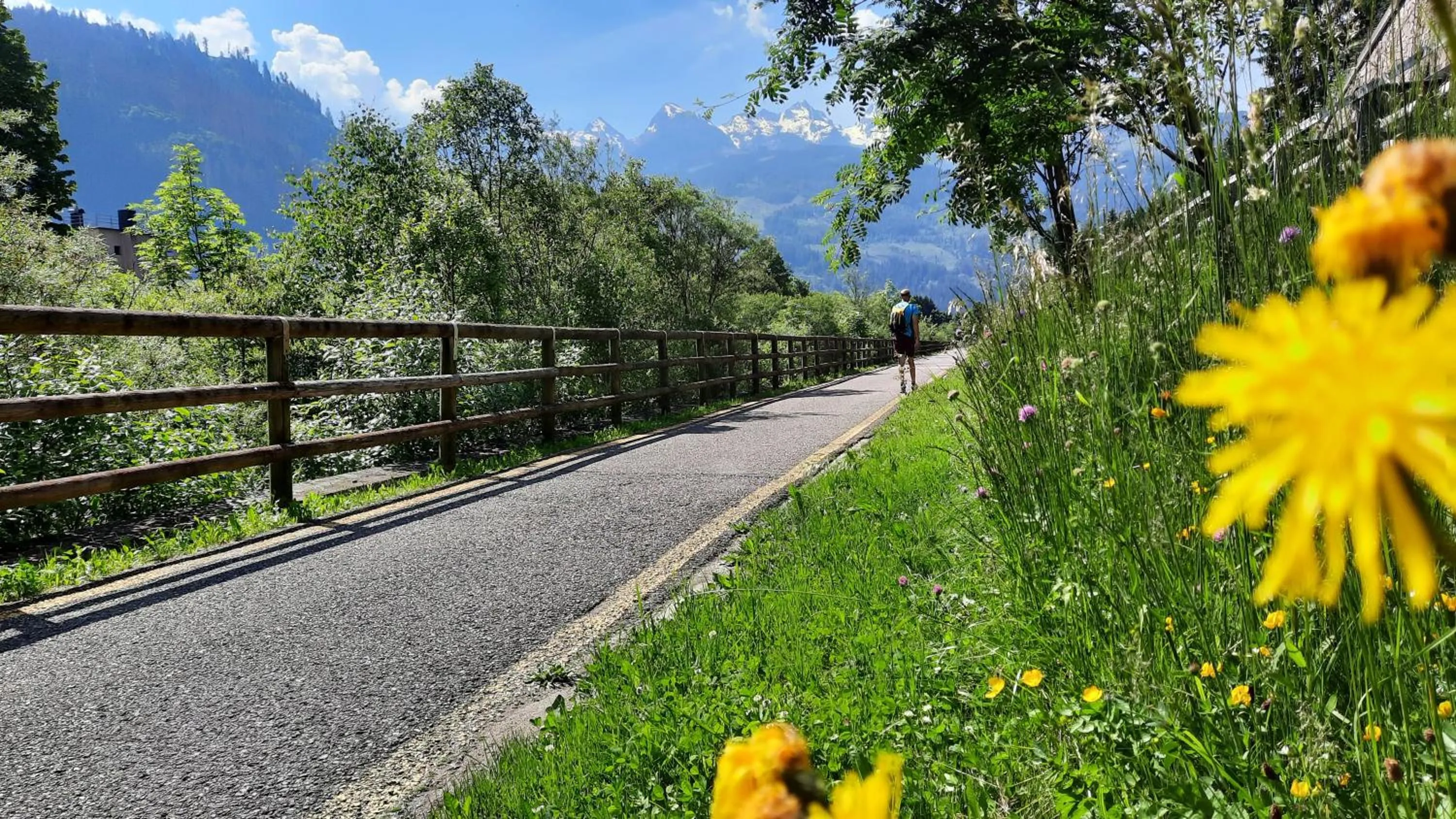 Natural landscape in B&BeautyFol Dolomites B&B adults only