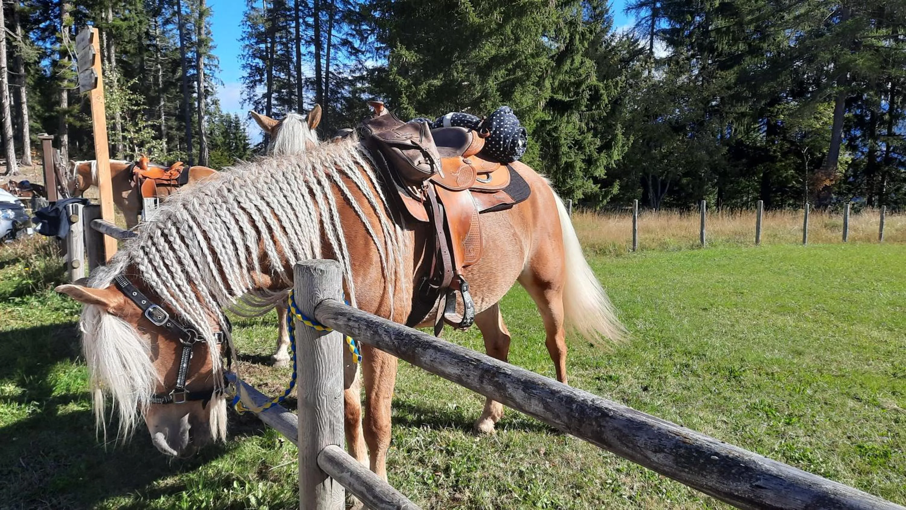 Natural landscape in B&BeautyFol Dolomites B&B adults only