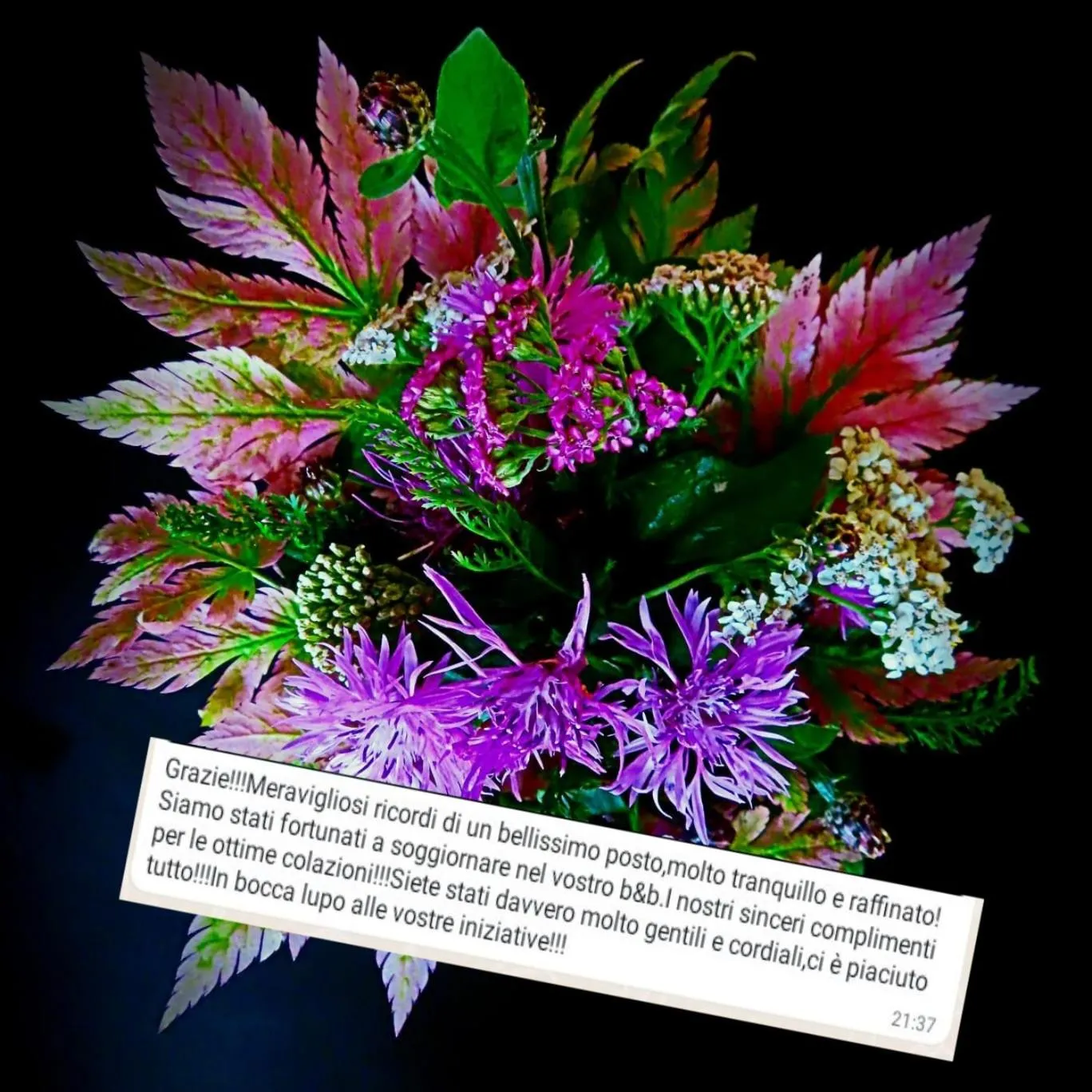 Garden in B&BeautyFol Dolomites B&B adults only