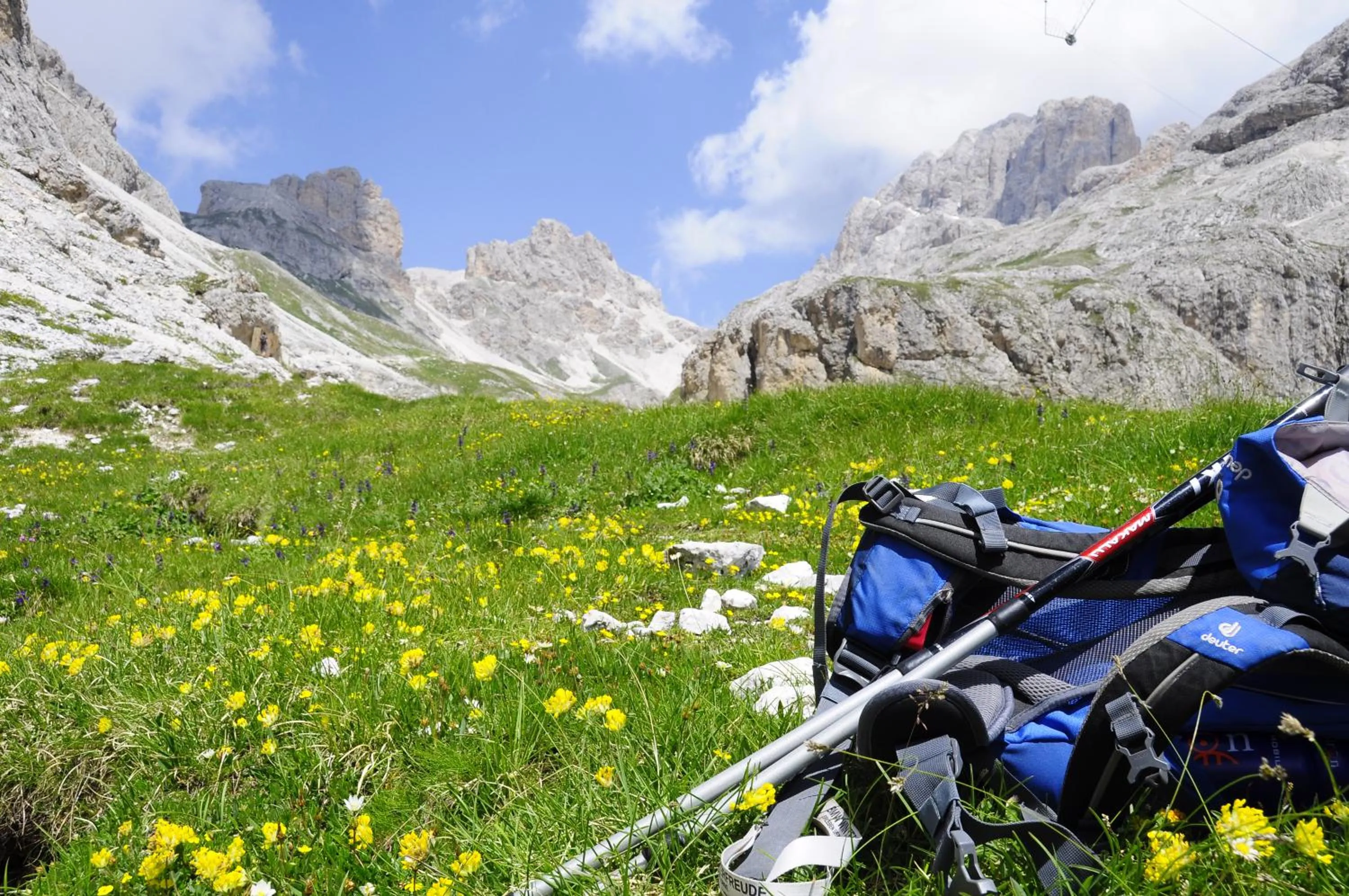 Natural landscape in B&BeautyFol Dolomites B&B adults only