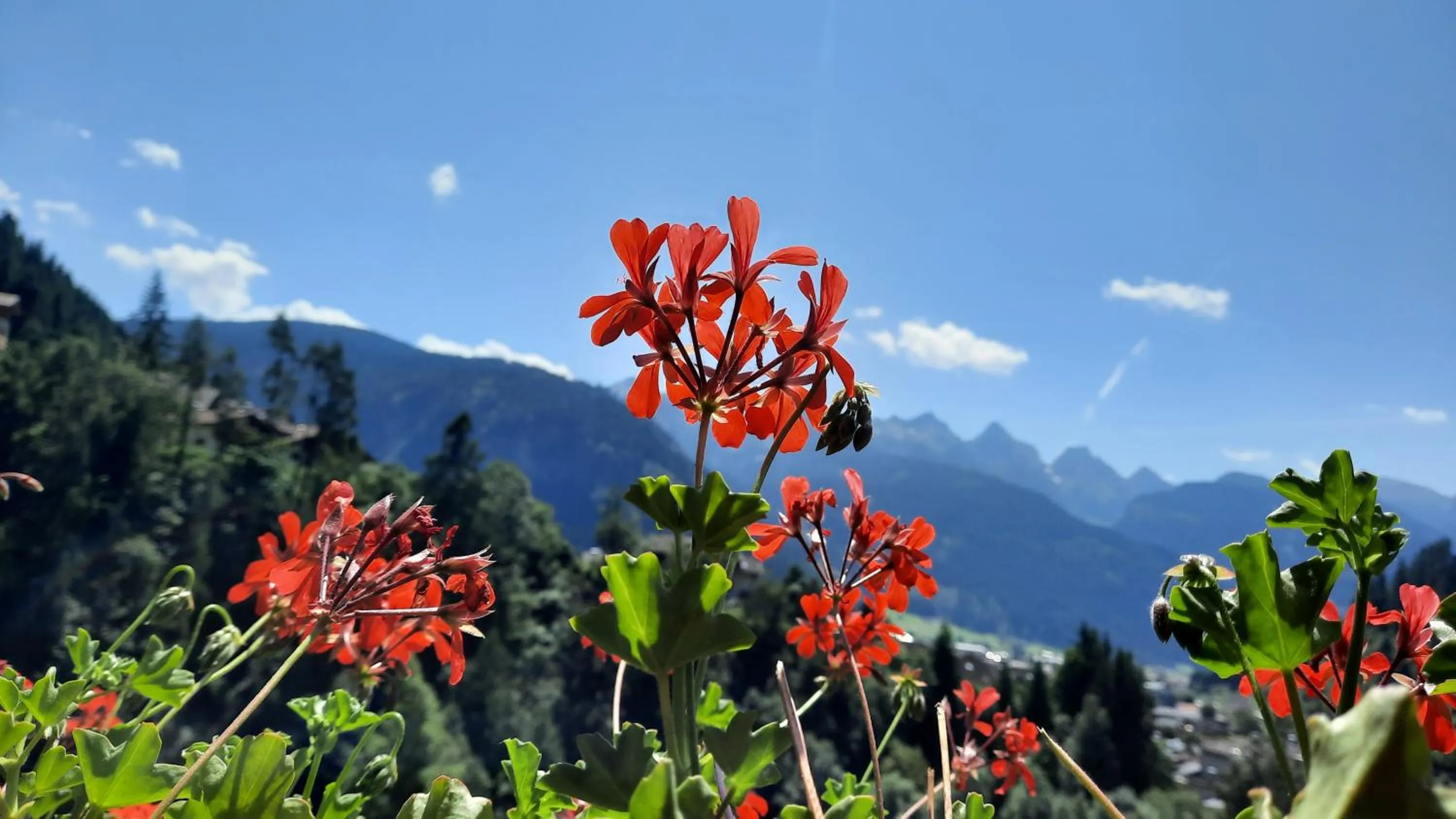 Spring in B&BeautyFol Dolomites B&B adults only