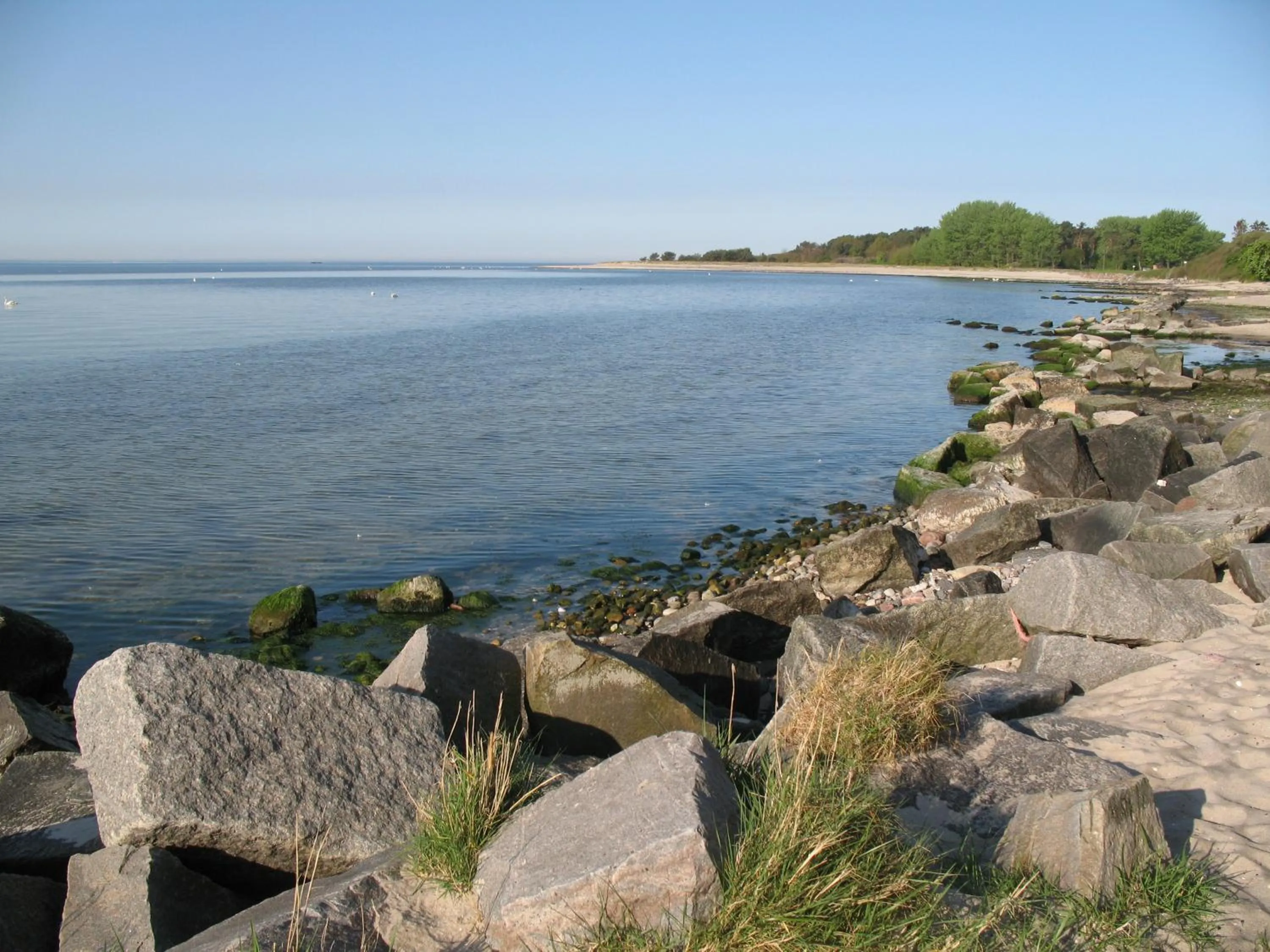 Beach in Hotel Godewind