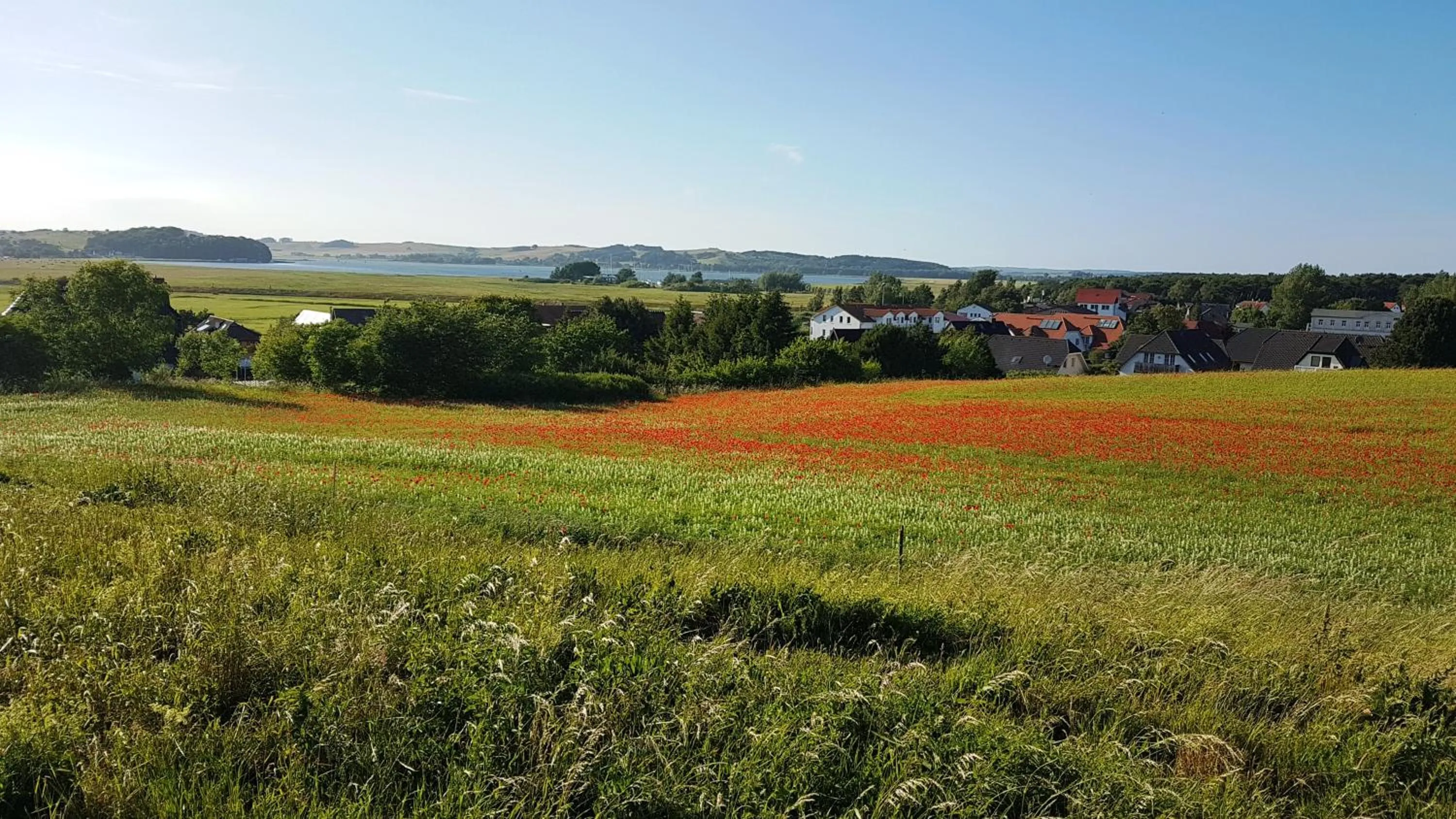 Natural landscape in Hotel Godewind