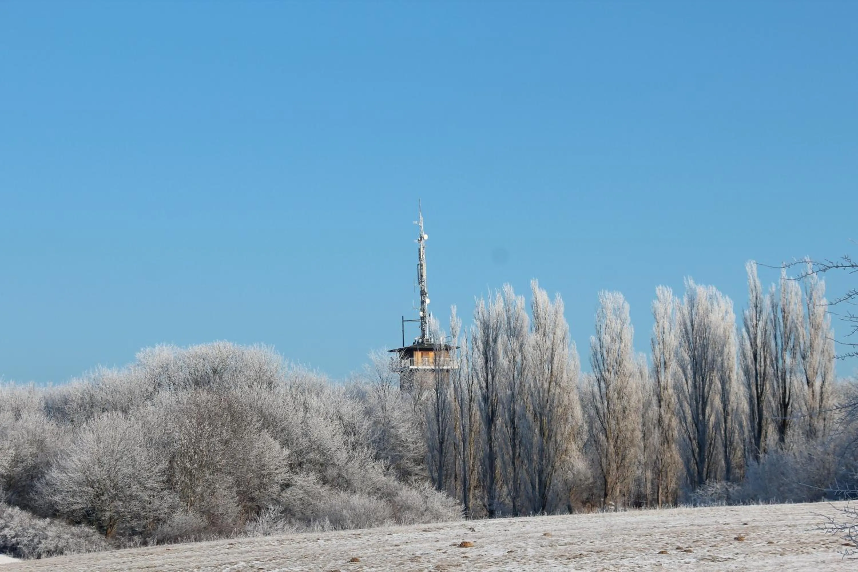 Natural landscape in Hotel Godewind