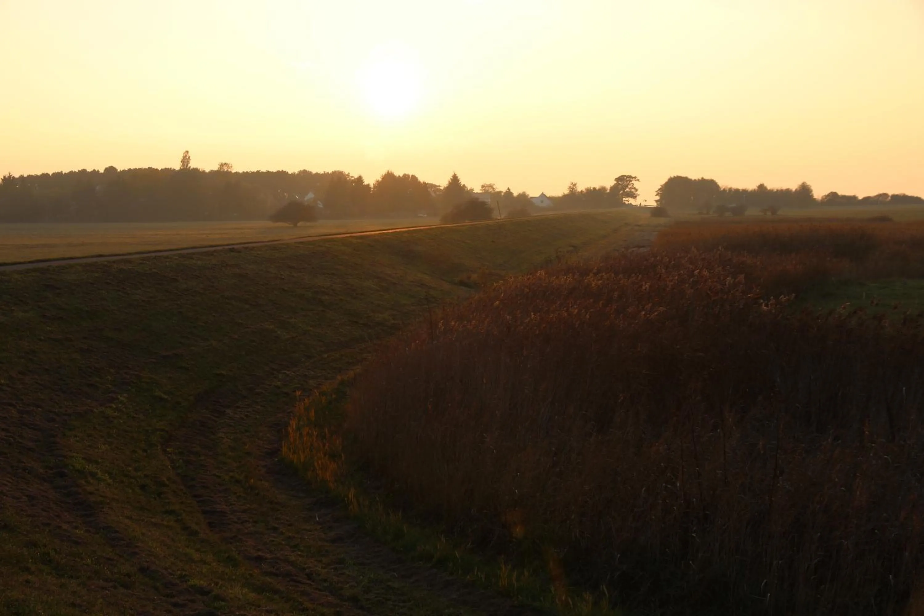 Natural landscape in Hotel Godewind