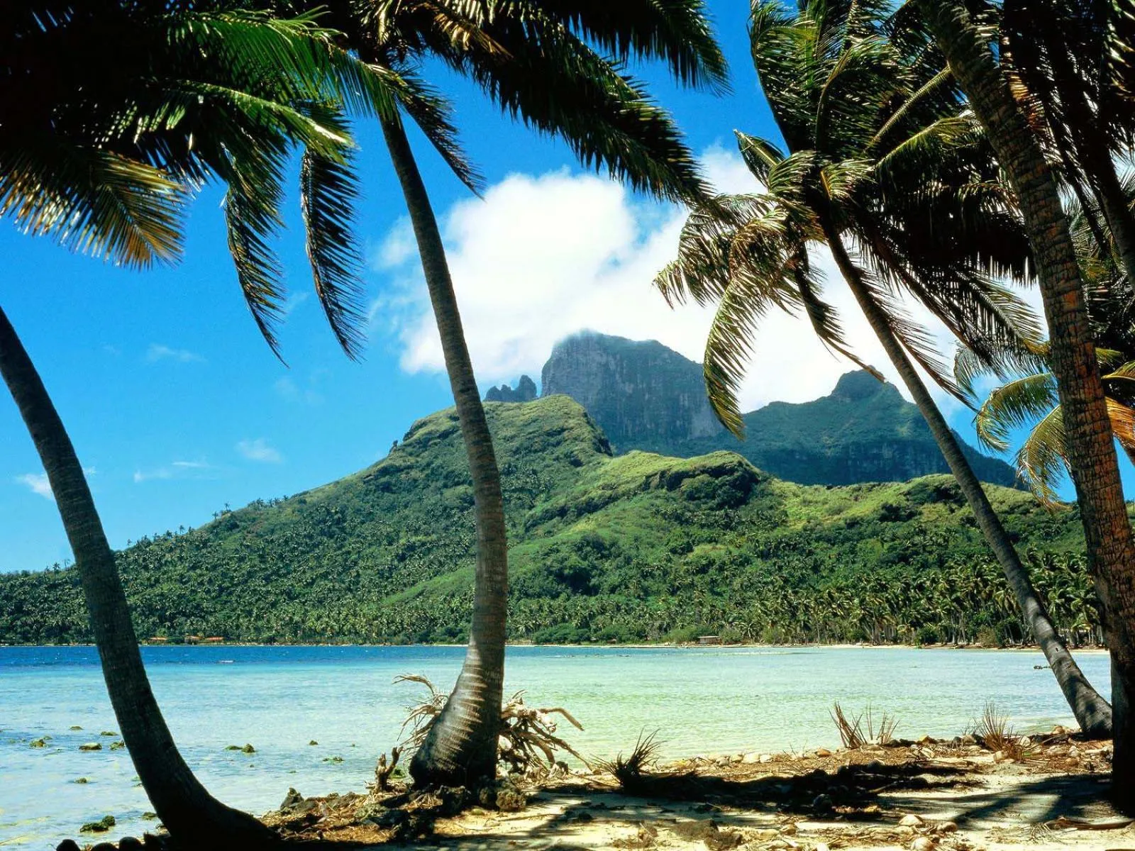 Natural landscape in Pousada Solar da Praia