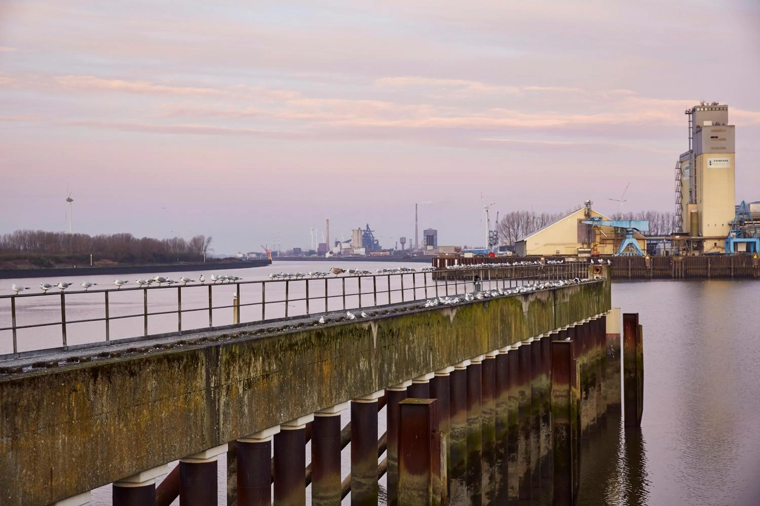 Natural landscape in INNSiDE by Meliá Bremen
