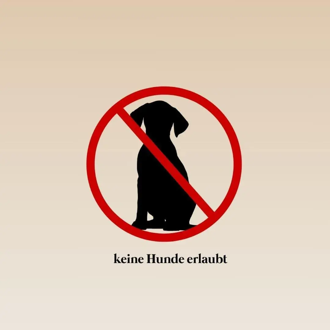 Single Bed in Mixed Dormitory Room in Landhotel Altes Zollhaus Single Bed in Mixed Dormitory Room in Landhotel Altes Zollhaus