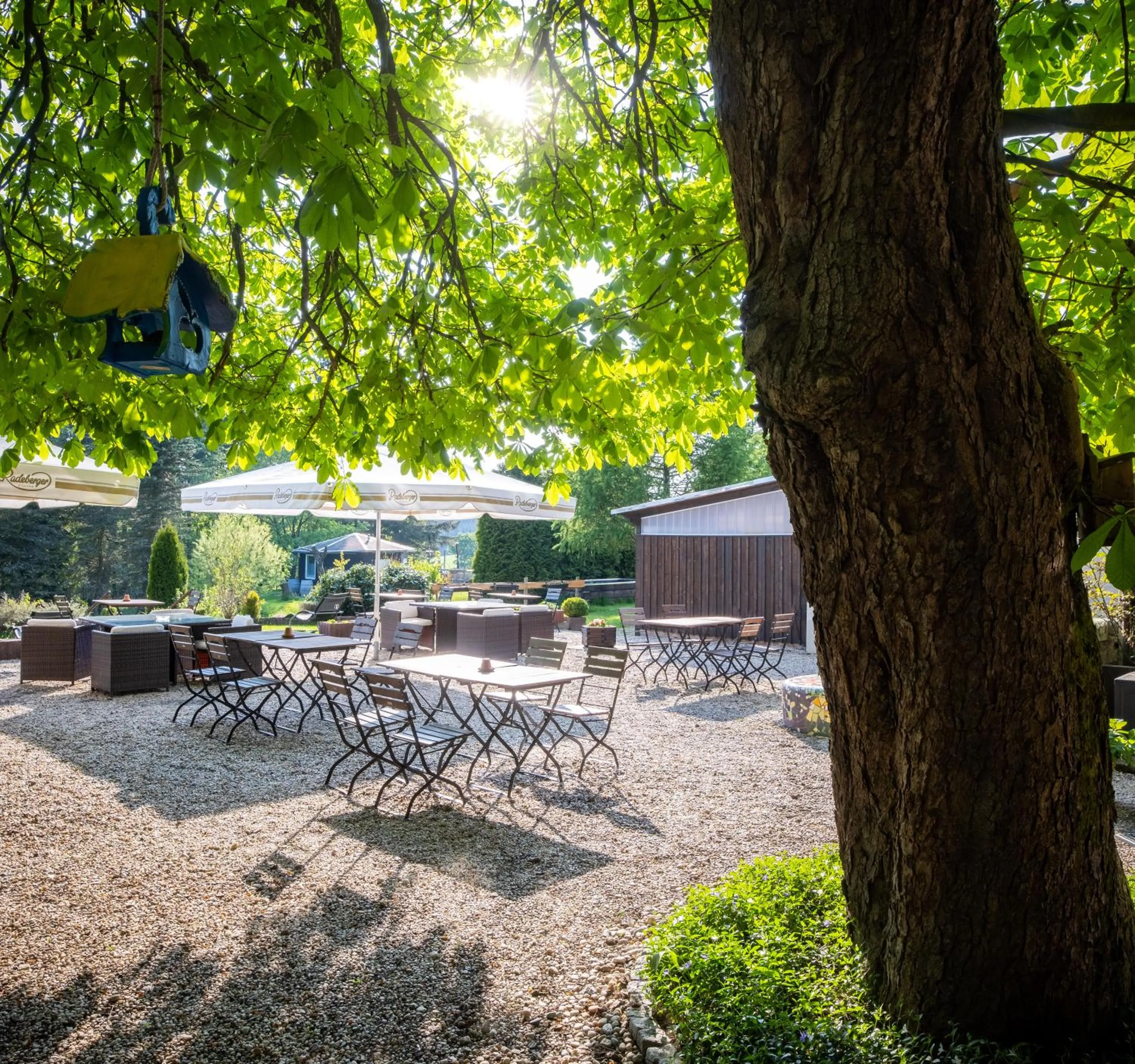 Restaurant/places to eat in Landhotel Altes Zollhaus