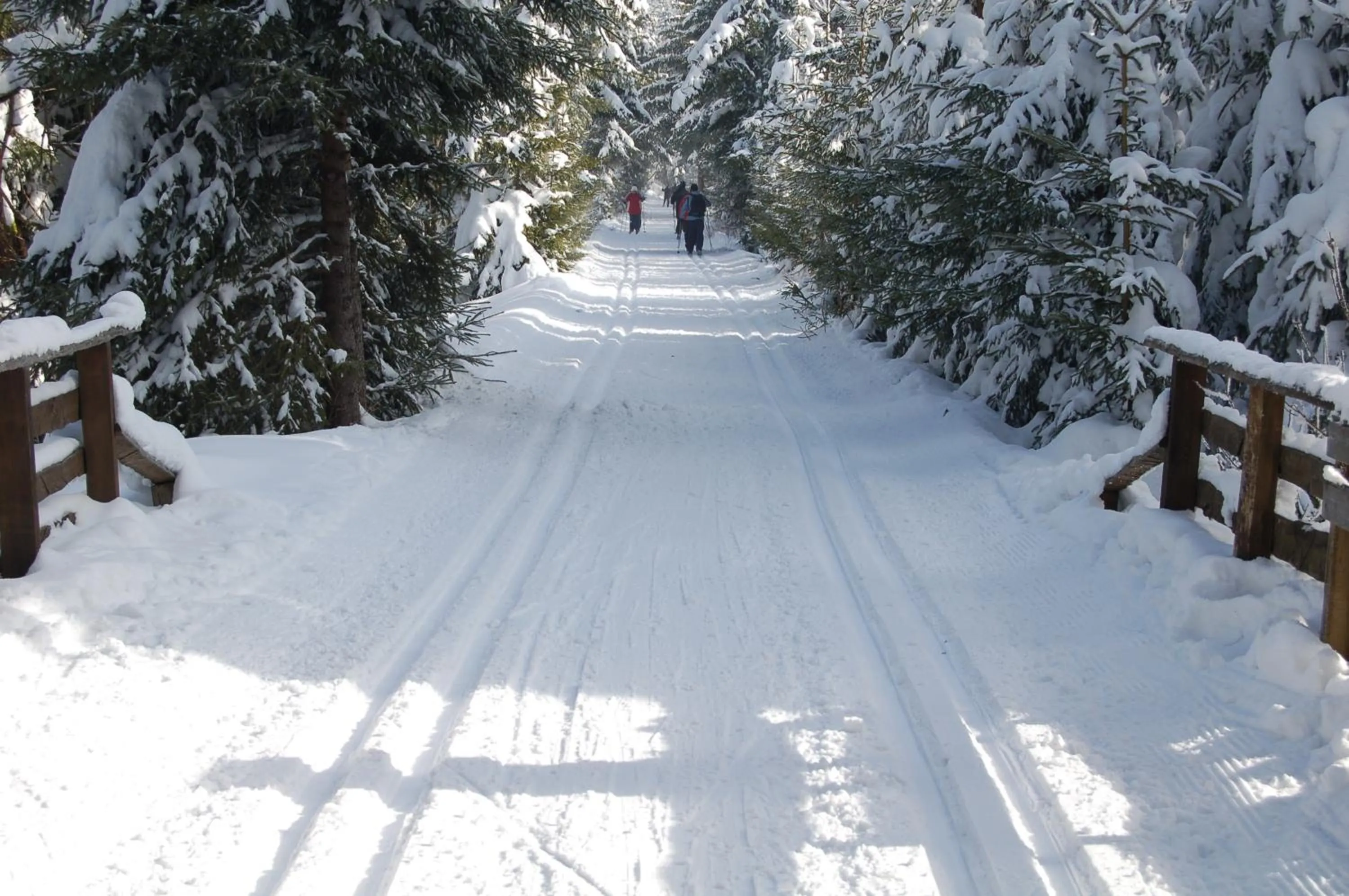 Neighbourhood in Landhotel Altes Zollhaus