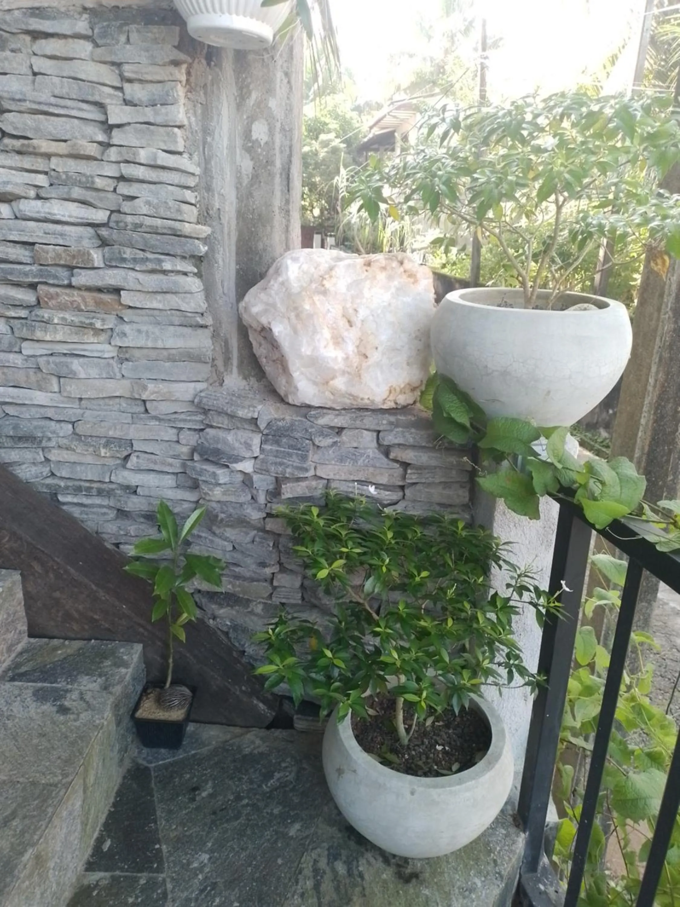 Garden in COCO Rooms