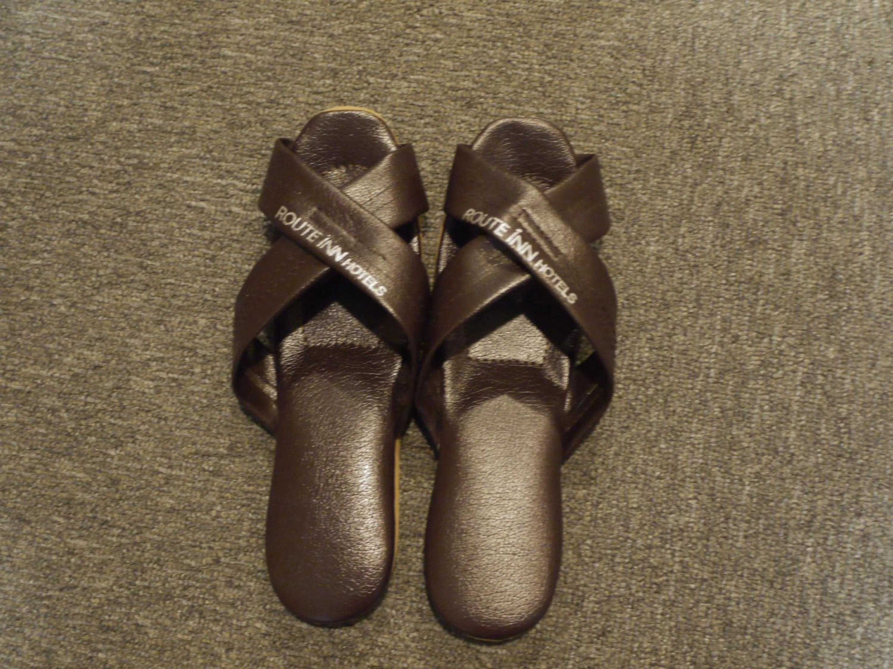 Other in Hotel Route-Inn Shinfujieki Minami