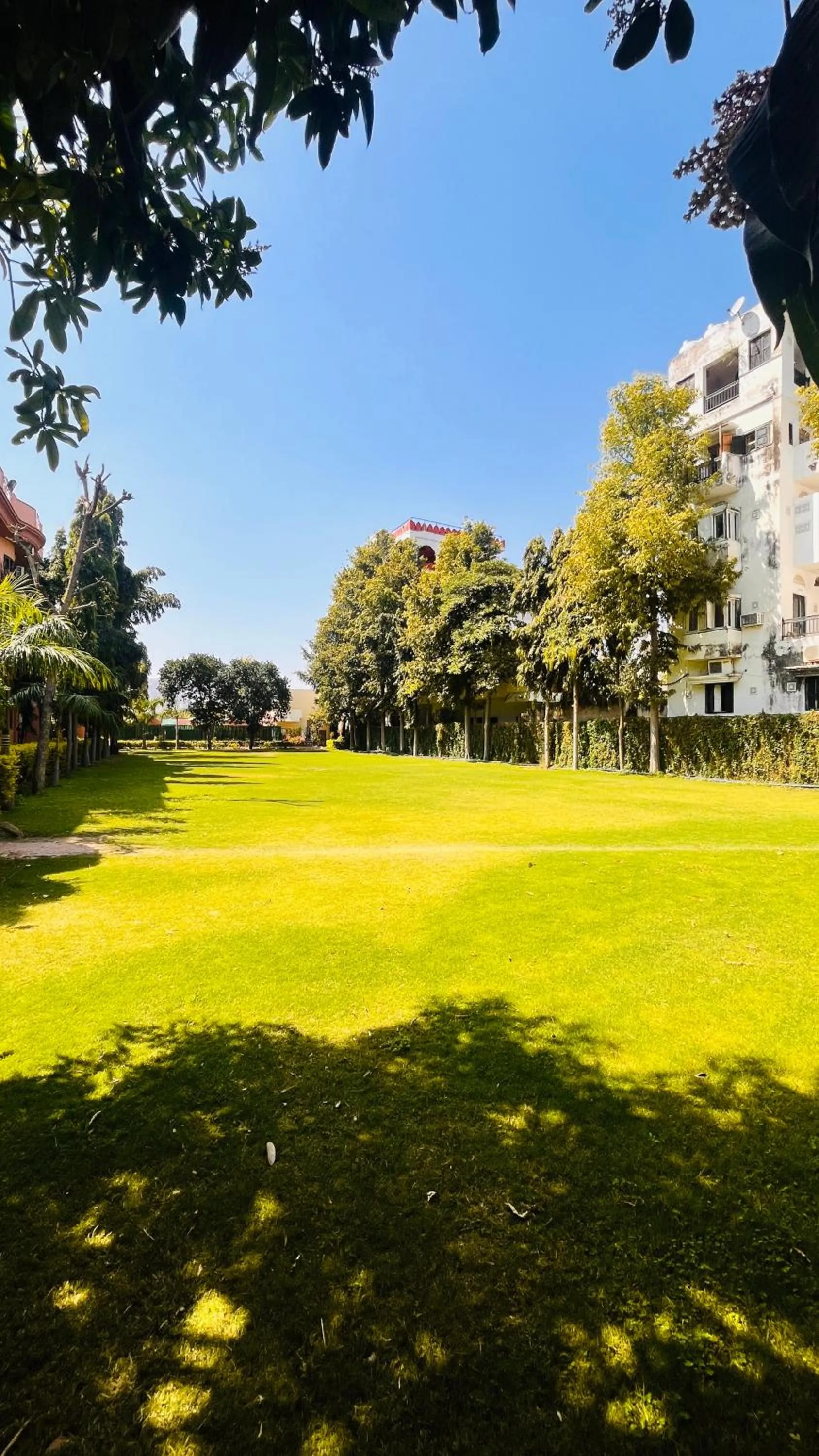 Garden in Hotel Master Paradise, Pushkar, Rajasthan , INDIA