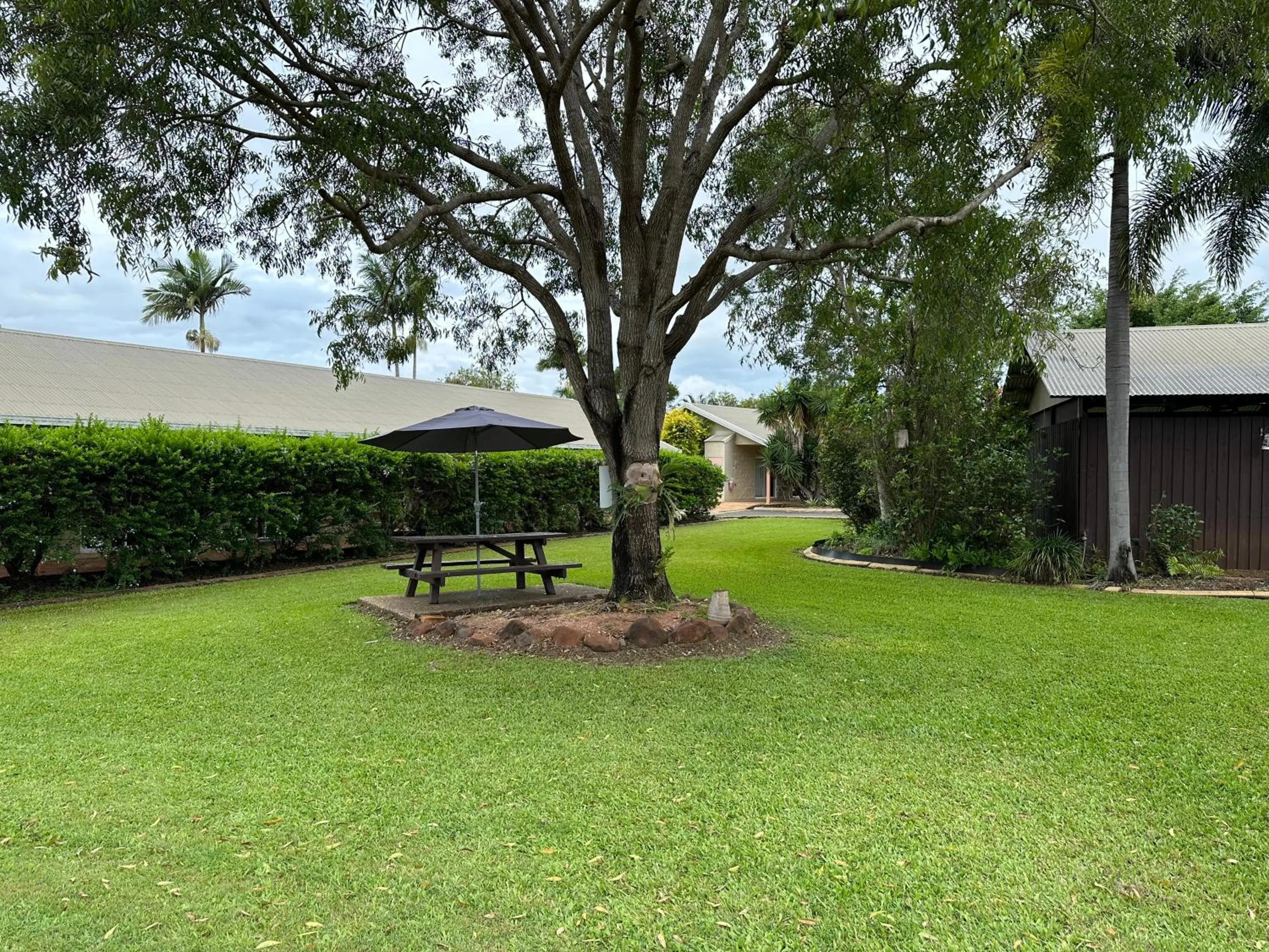 Garden in Mareeba Motor Inn