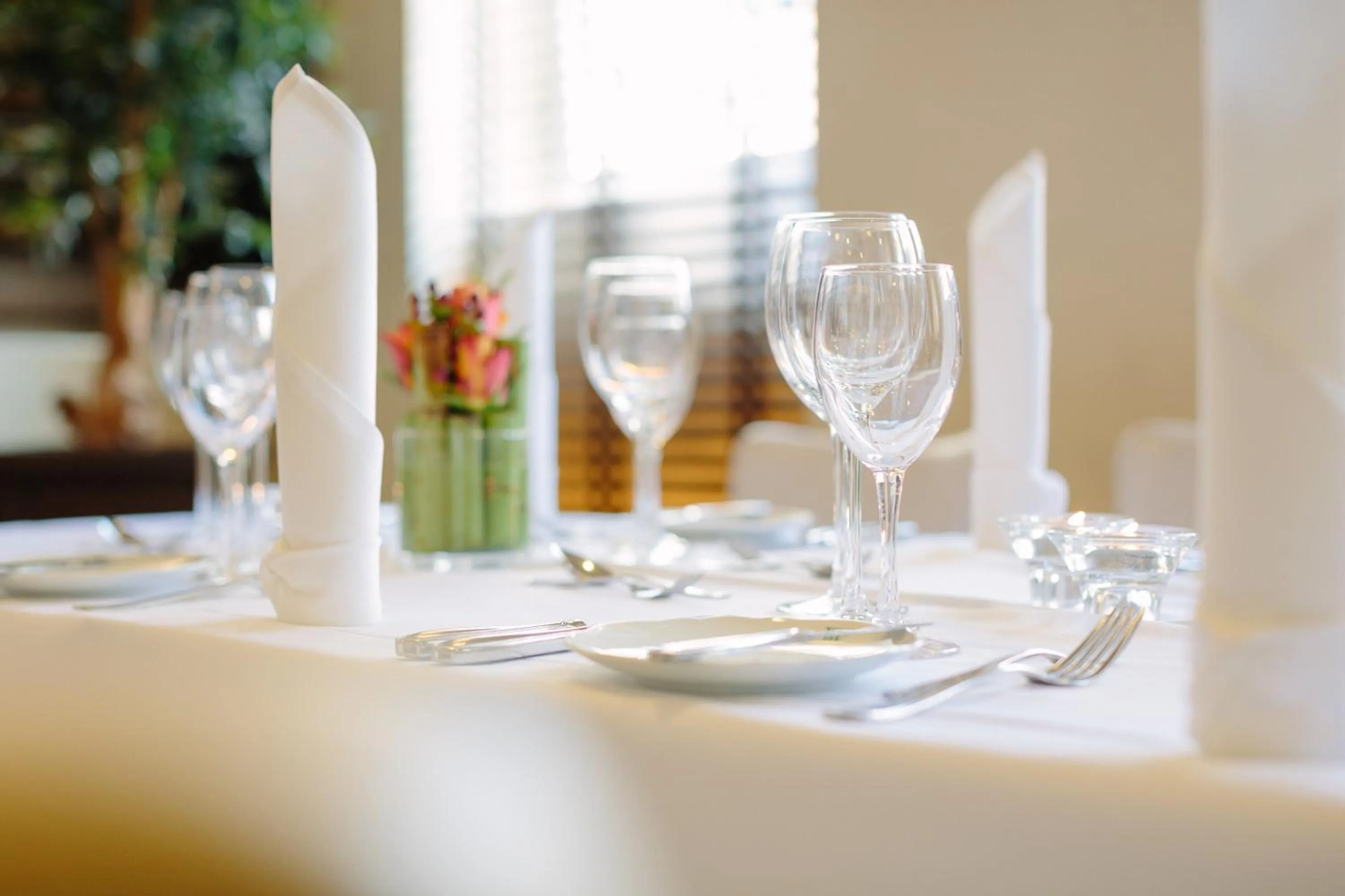 Banquet/Function facilities in Hotel Vorfelder