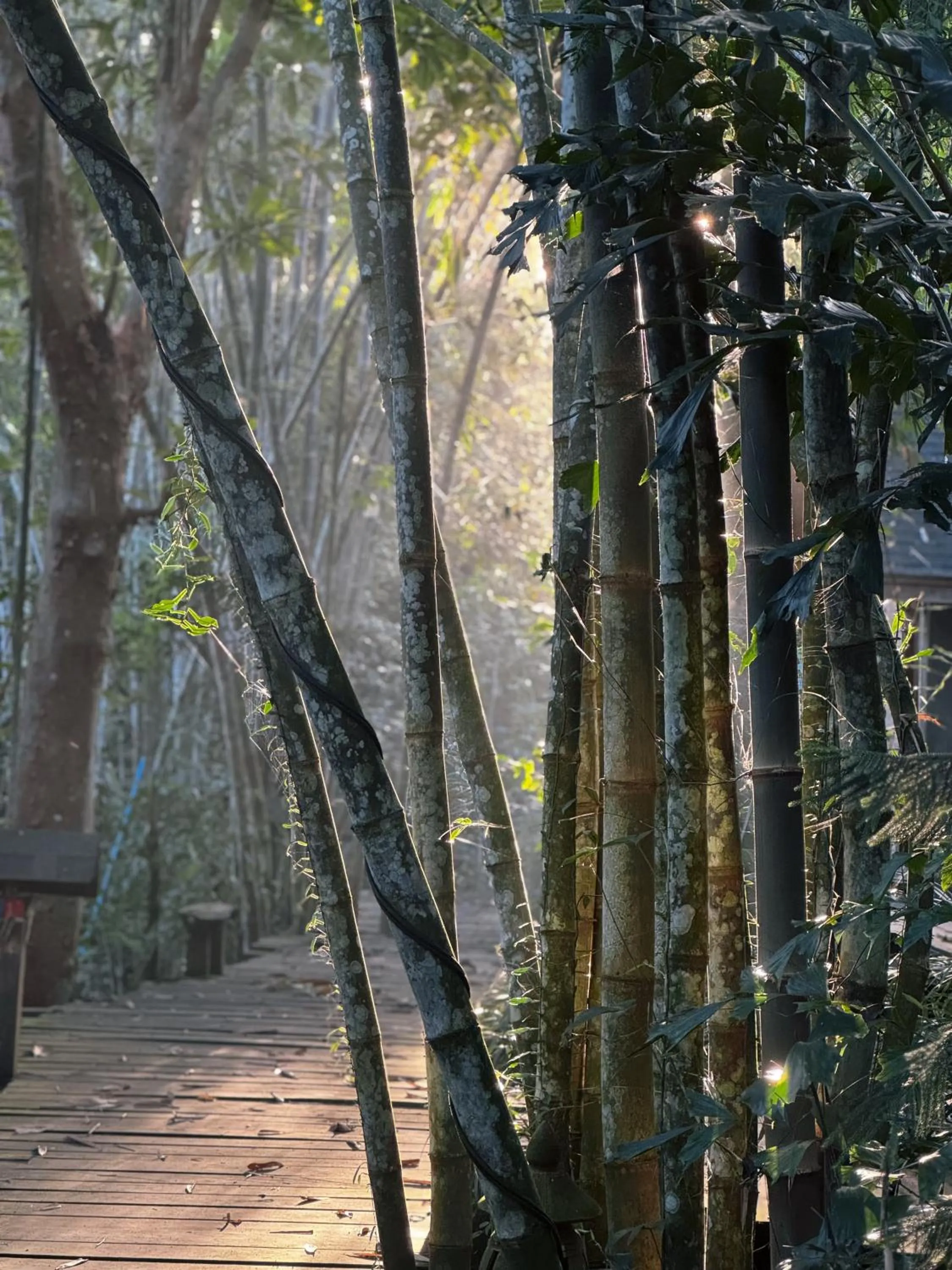 Kung Nok Tha Resort Nakhon Si Thammarat