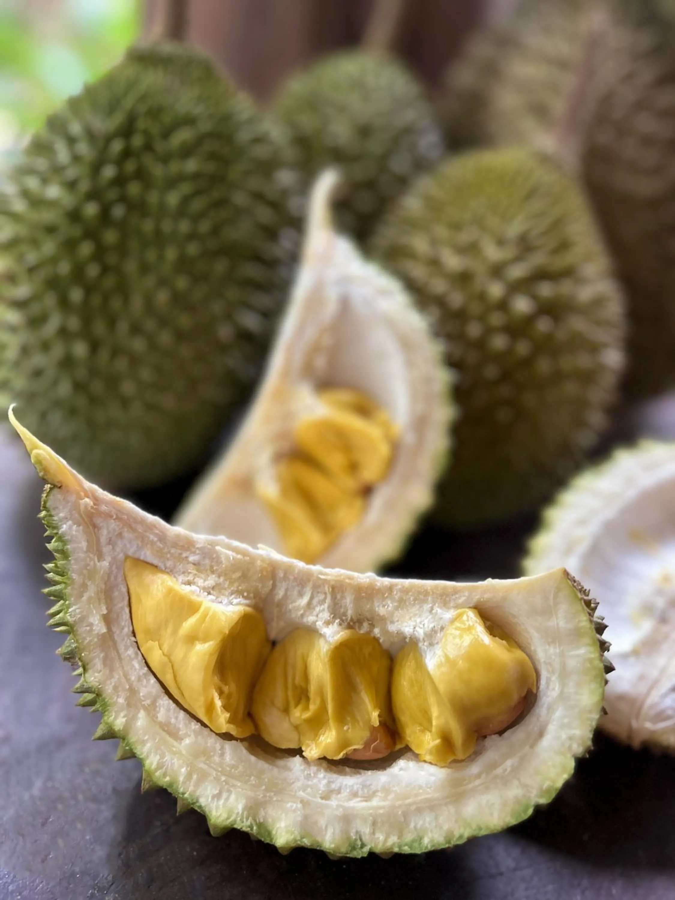 Kung Nok Tha Resort Nakhon Si Thammarat