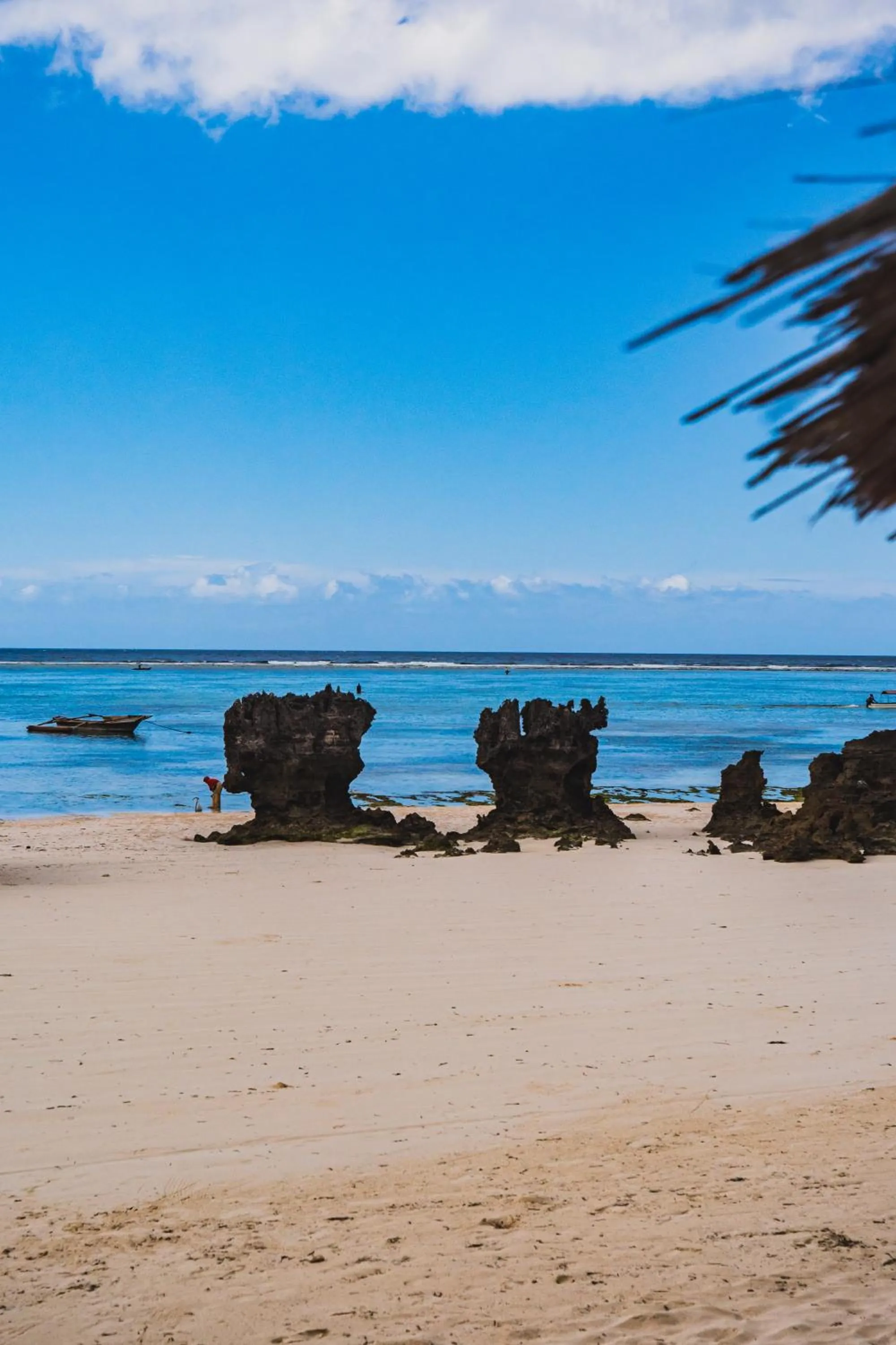 Natural landscape in Sunshine Bay Hotel Zanzibar
