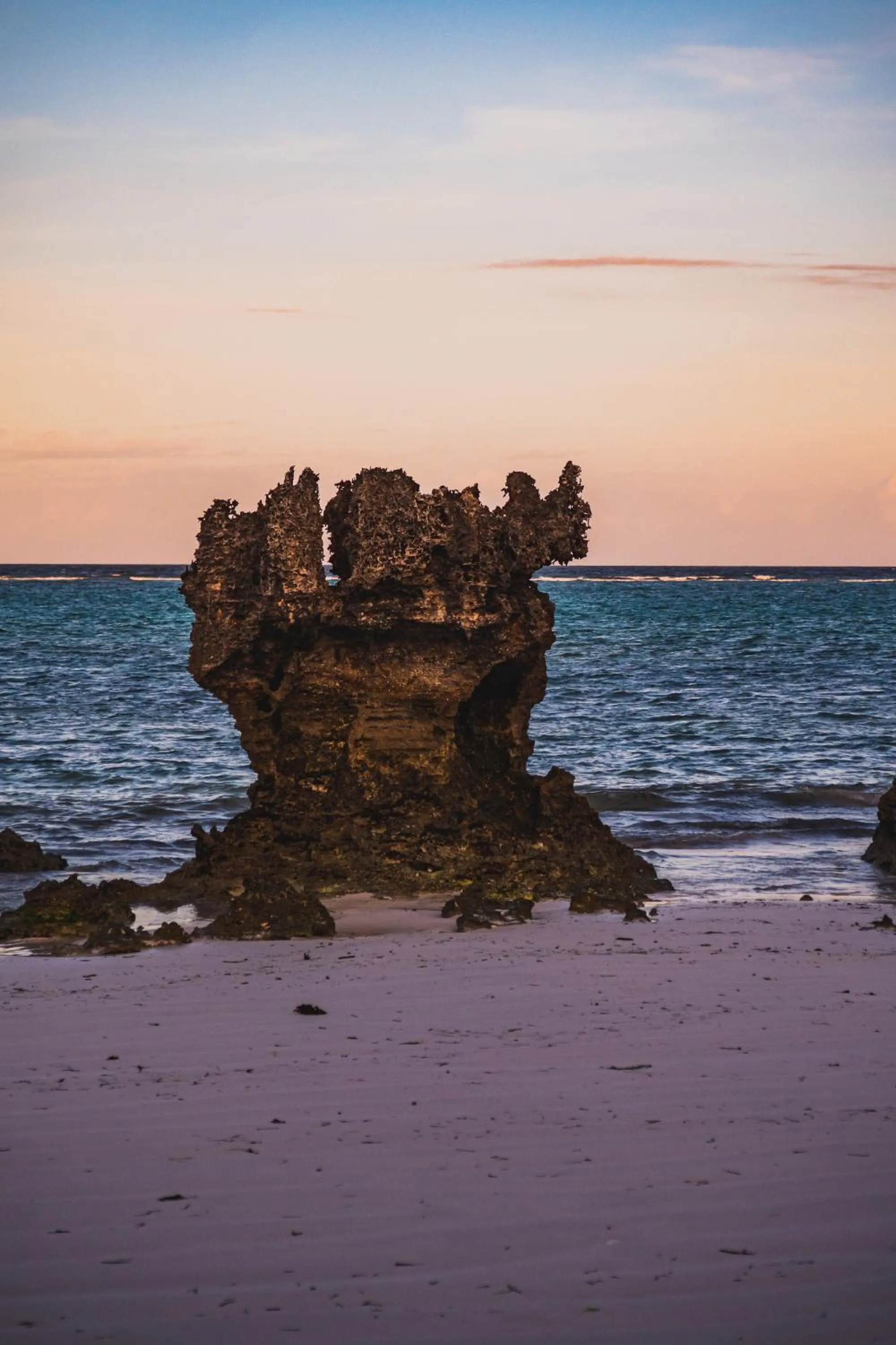 Natural landscape in Sunshine Bay Hotel Zanzibar