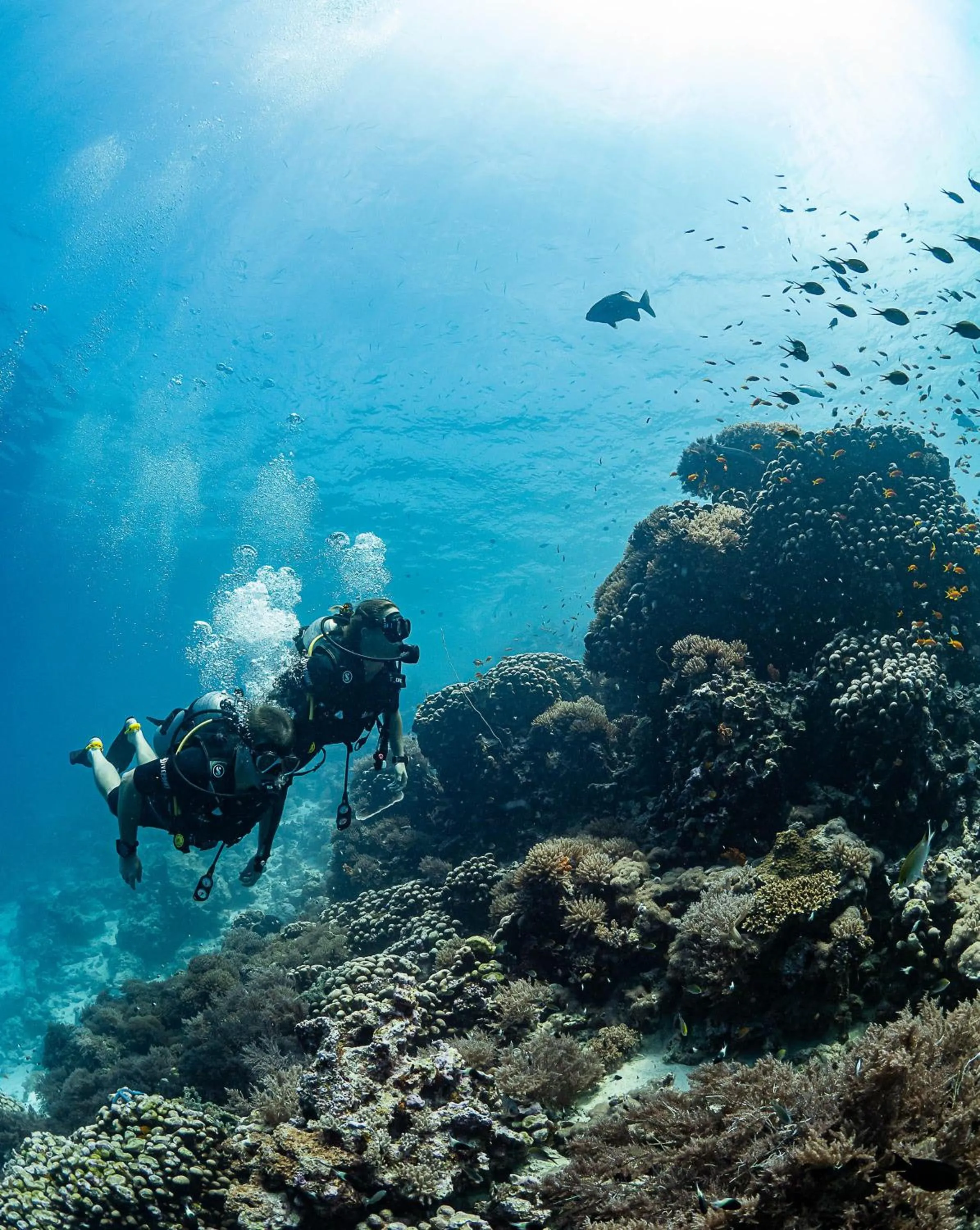 Diving in Sunshine Bay Hotel Zanzibar