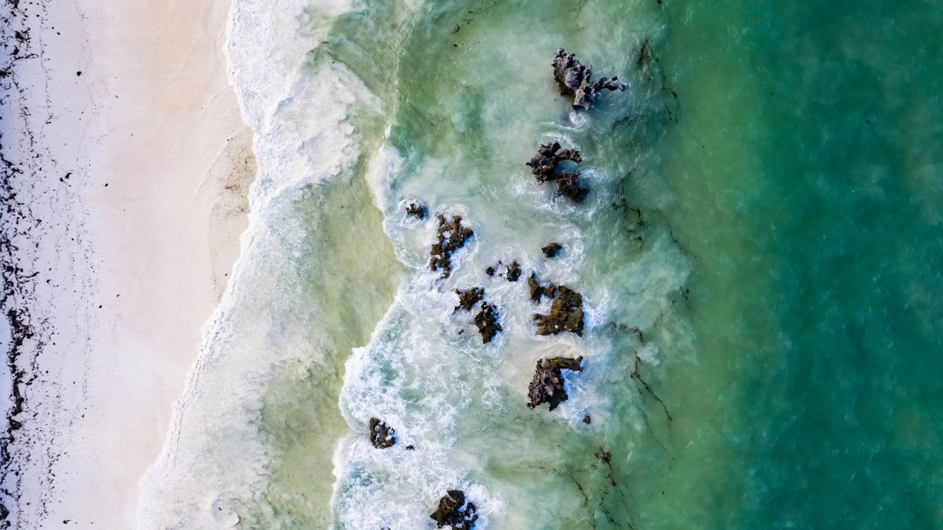 Natural landscape in Sunshine Bay Hotel Zanzibar