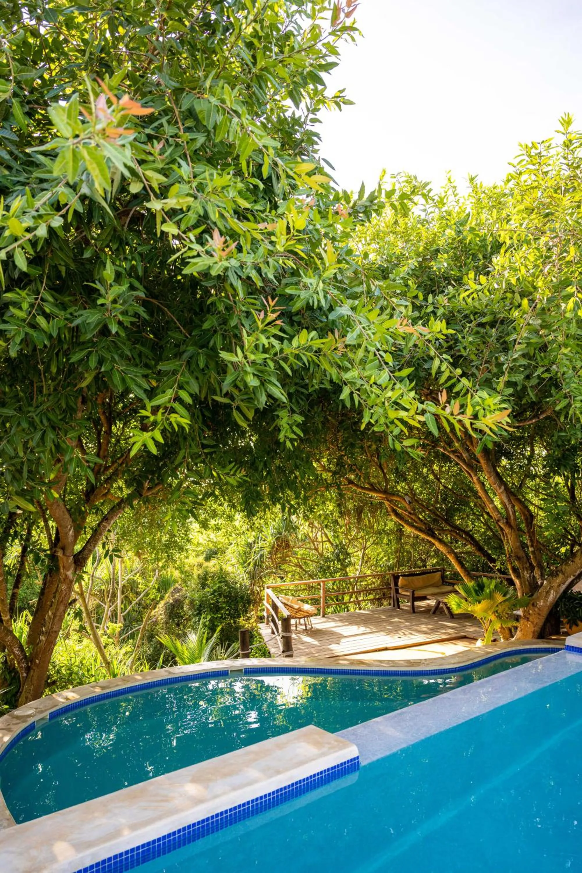 Garden in Sunshine Bay Hotel Zanzibar