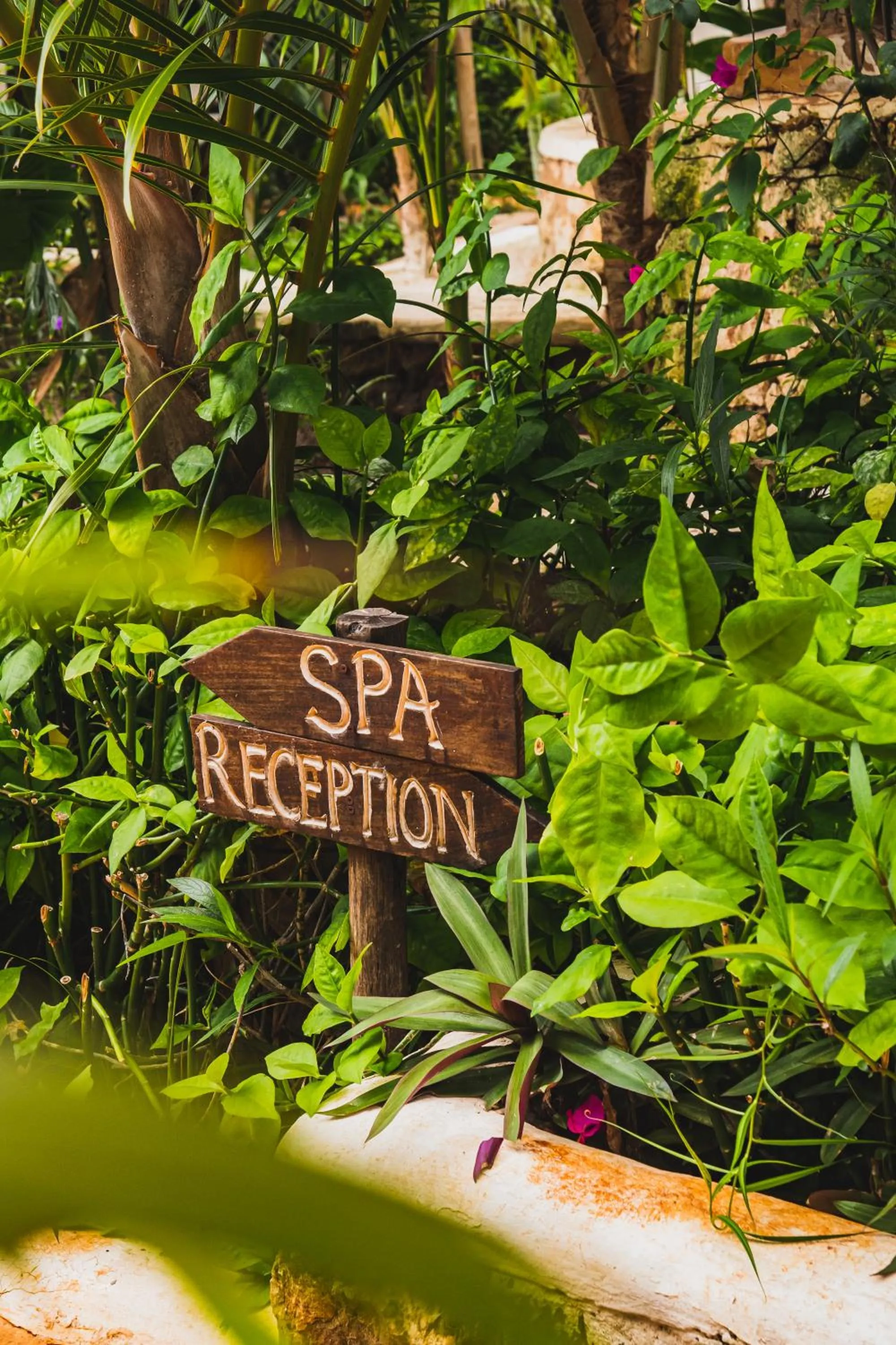 Property building in Sunshine Bay Hotel Zanzibar