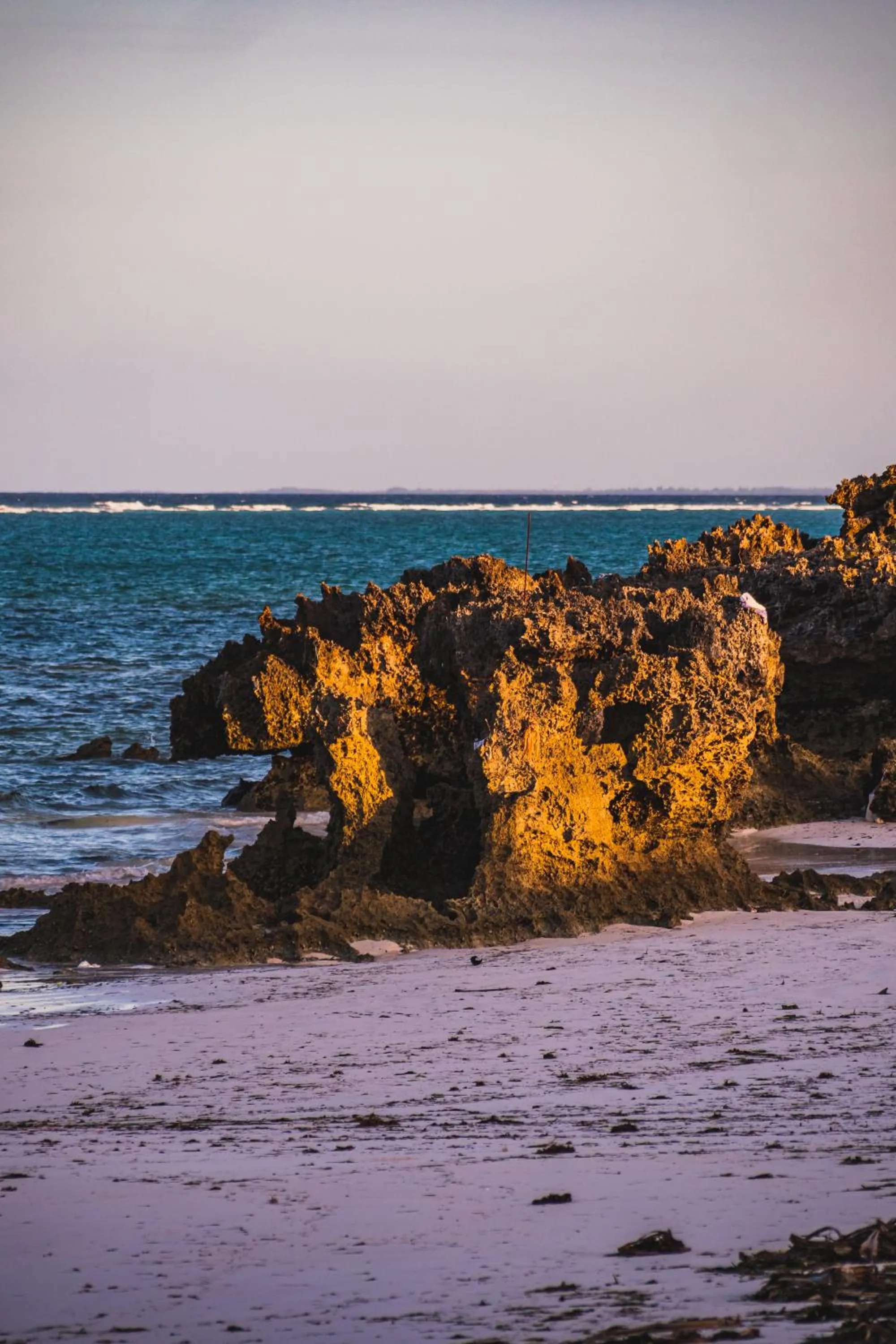 Natural landscape in Sunshine Bay Hotel Zanzibar