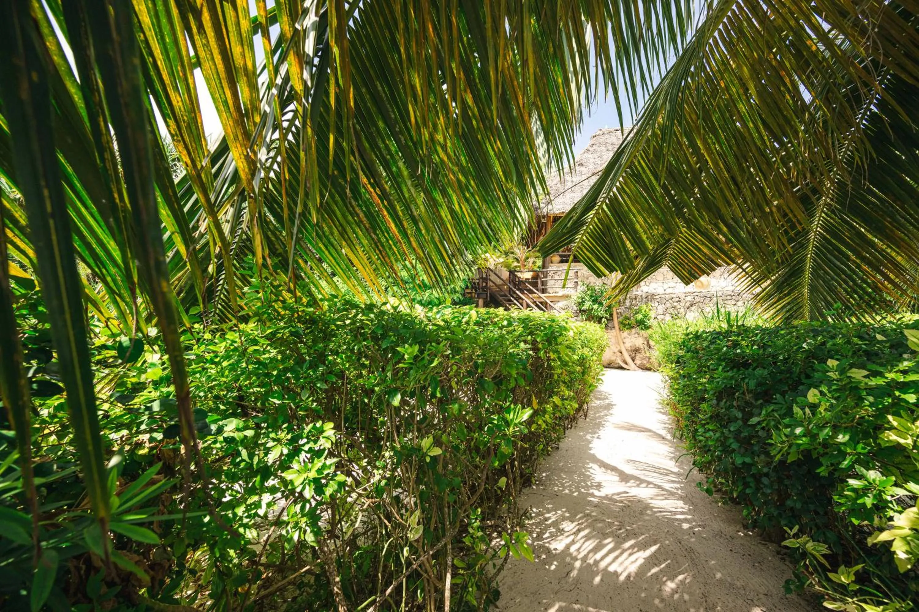 Garden in Sunshine Bay Hotel Zanzibar