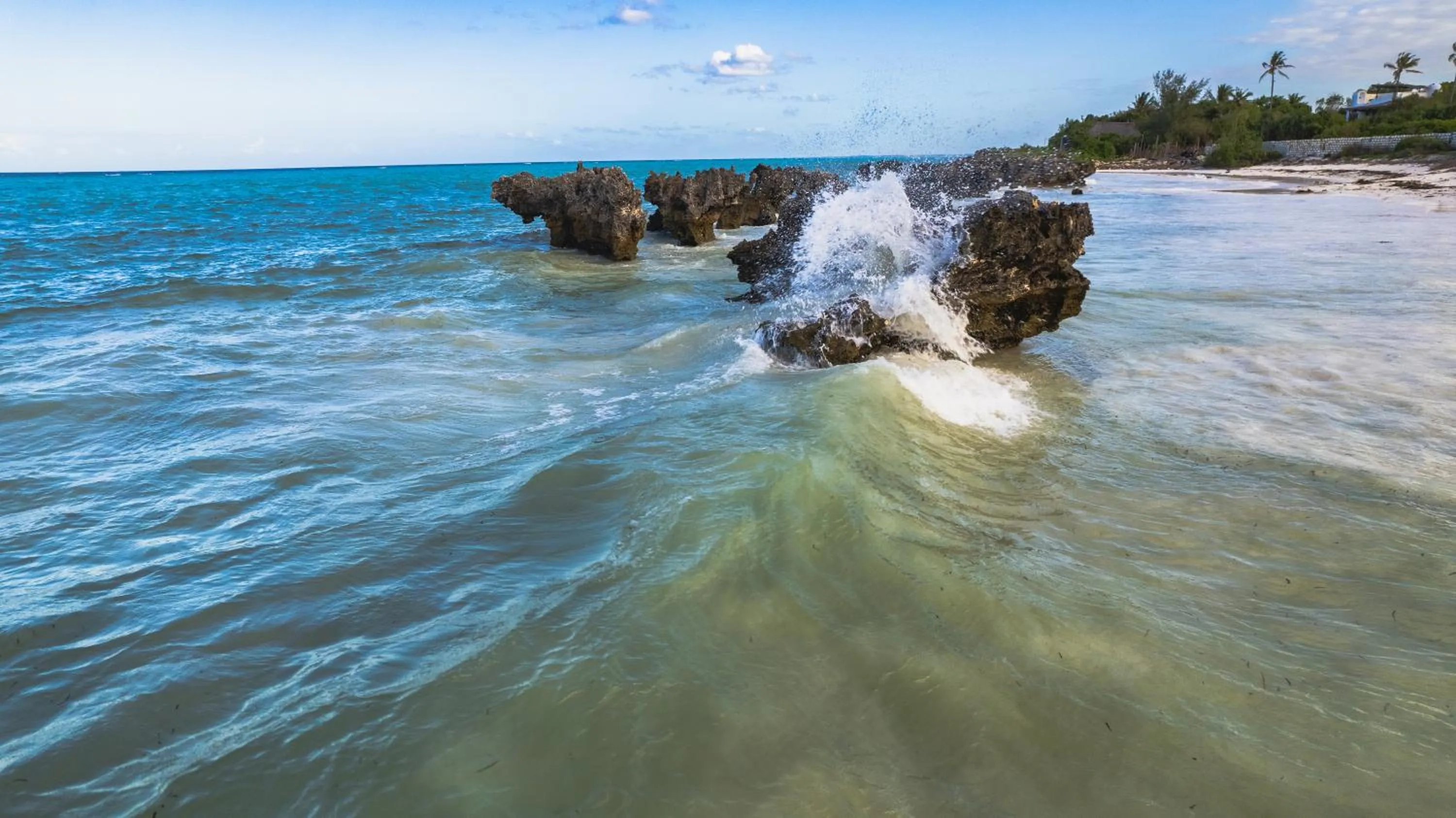 Natural landscape in Sunshine Bay Hotel Zanzibar
