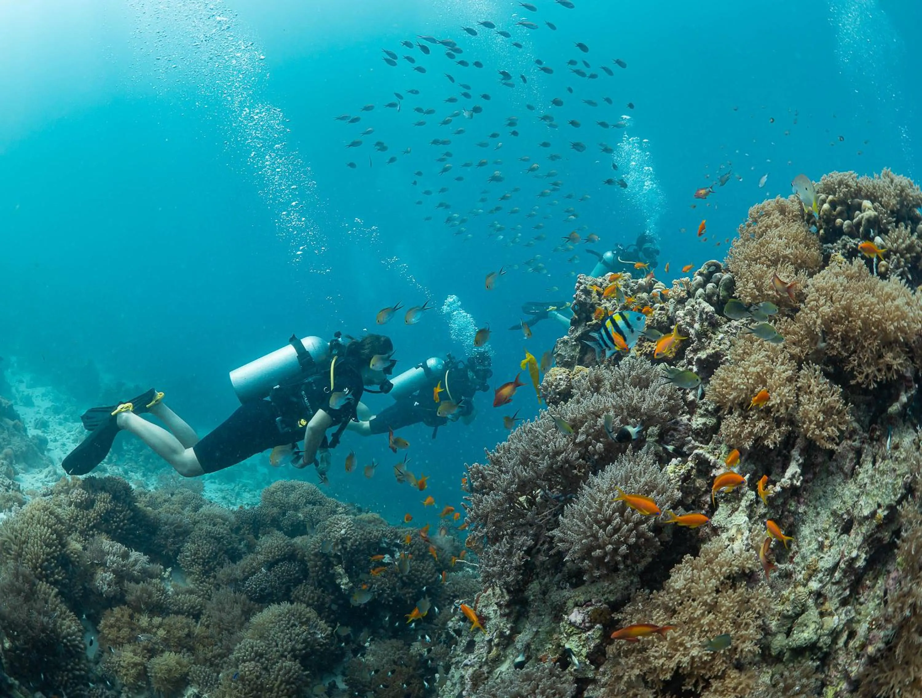 Diving in Sunshine Bay Hotel Zanzibar