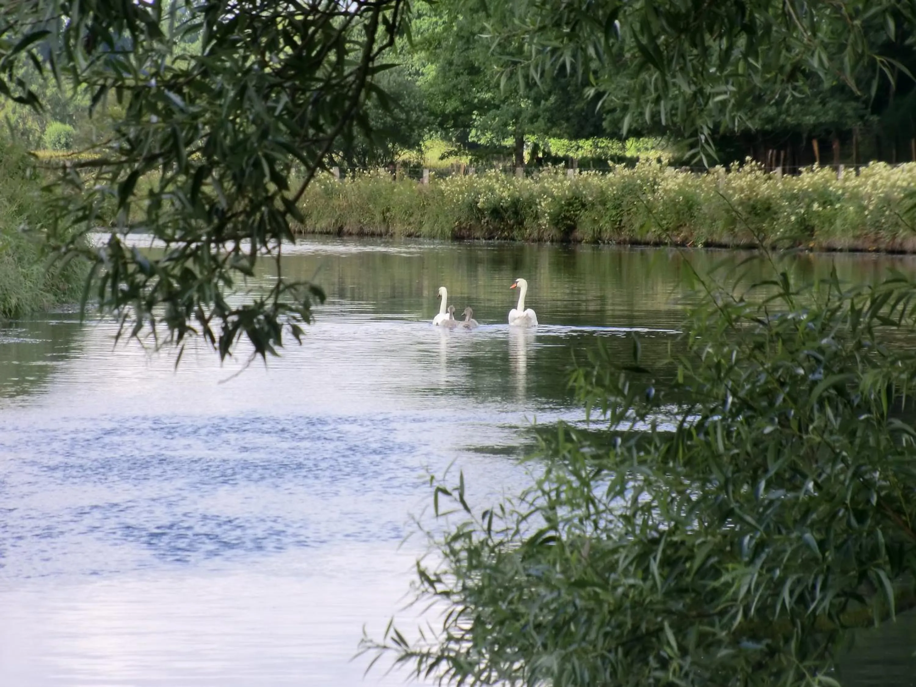 Area and facilities in Hotel Oymanns