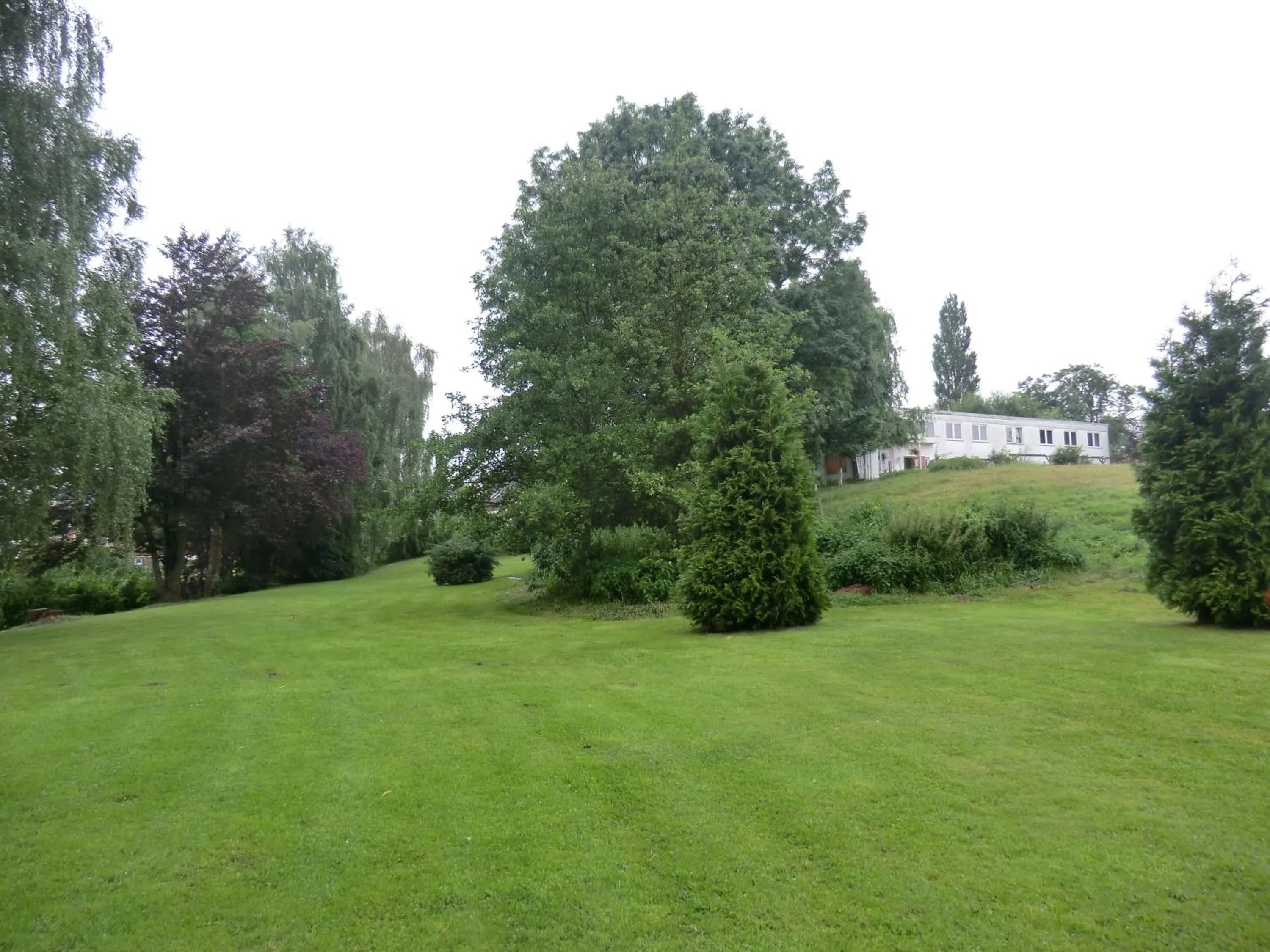 Area and facilities in Hotel Oymanns