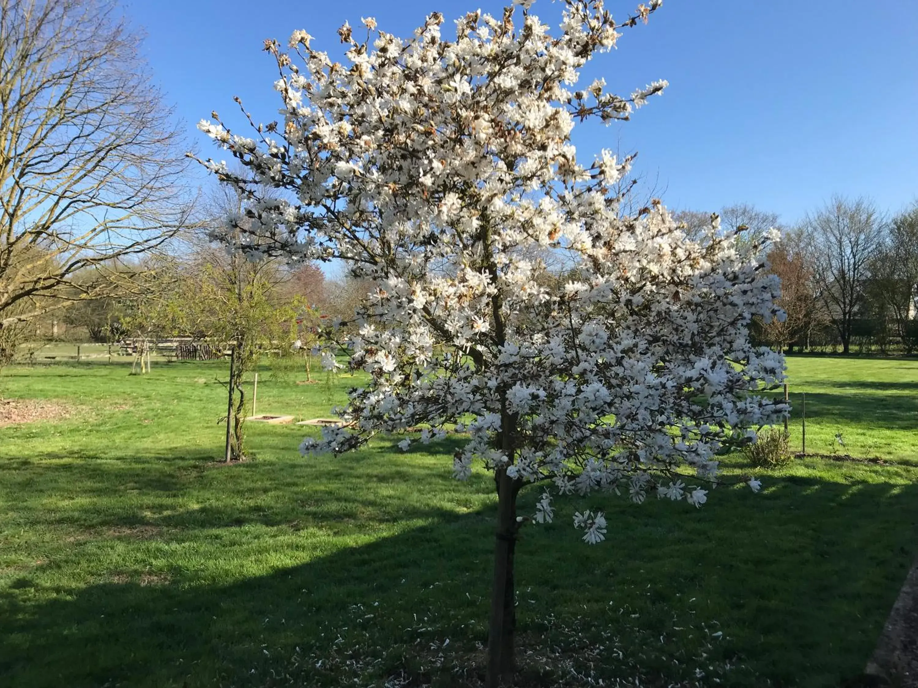 Double Room with Garden View in Chambre à la campagne Double Room with Garden View in Chambre à la campagne