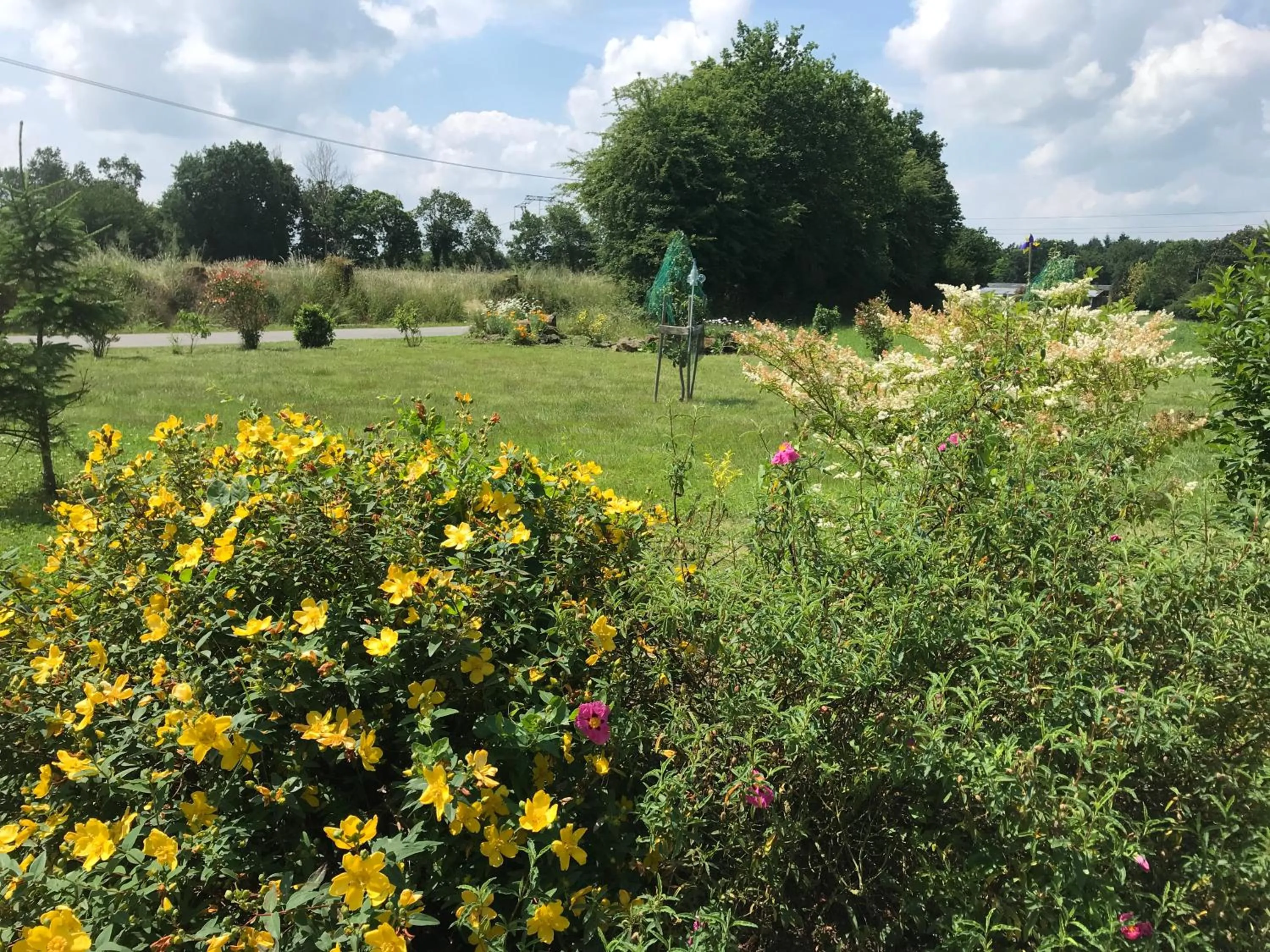 Garden view in Chambre à la campagne