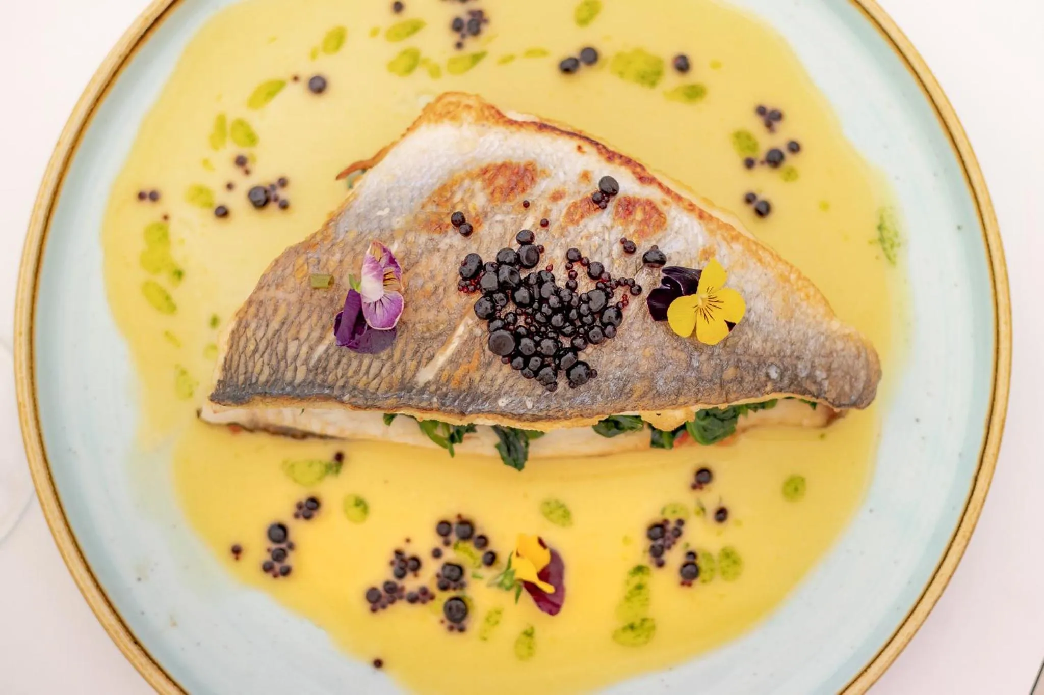 WHITE DONKEY BOUTIQUE Hotel