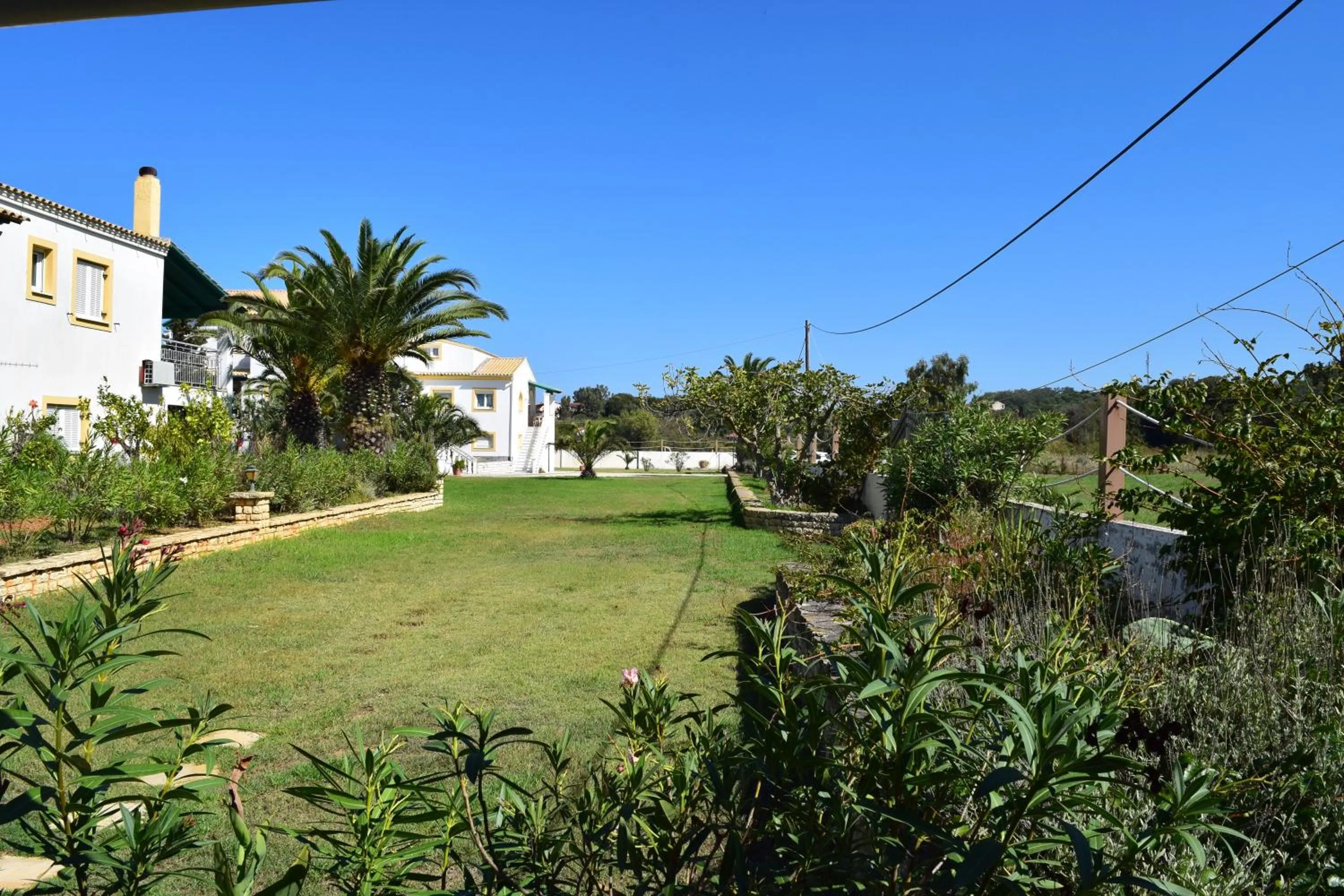 Garden in S&C Kosmos Beach Resort