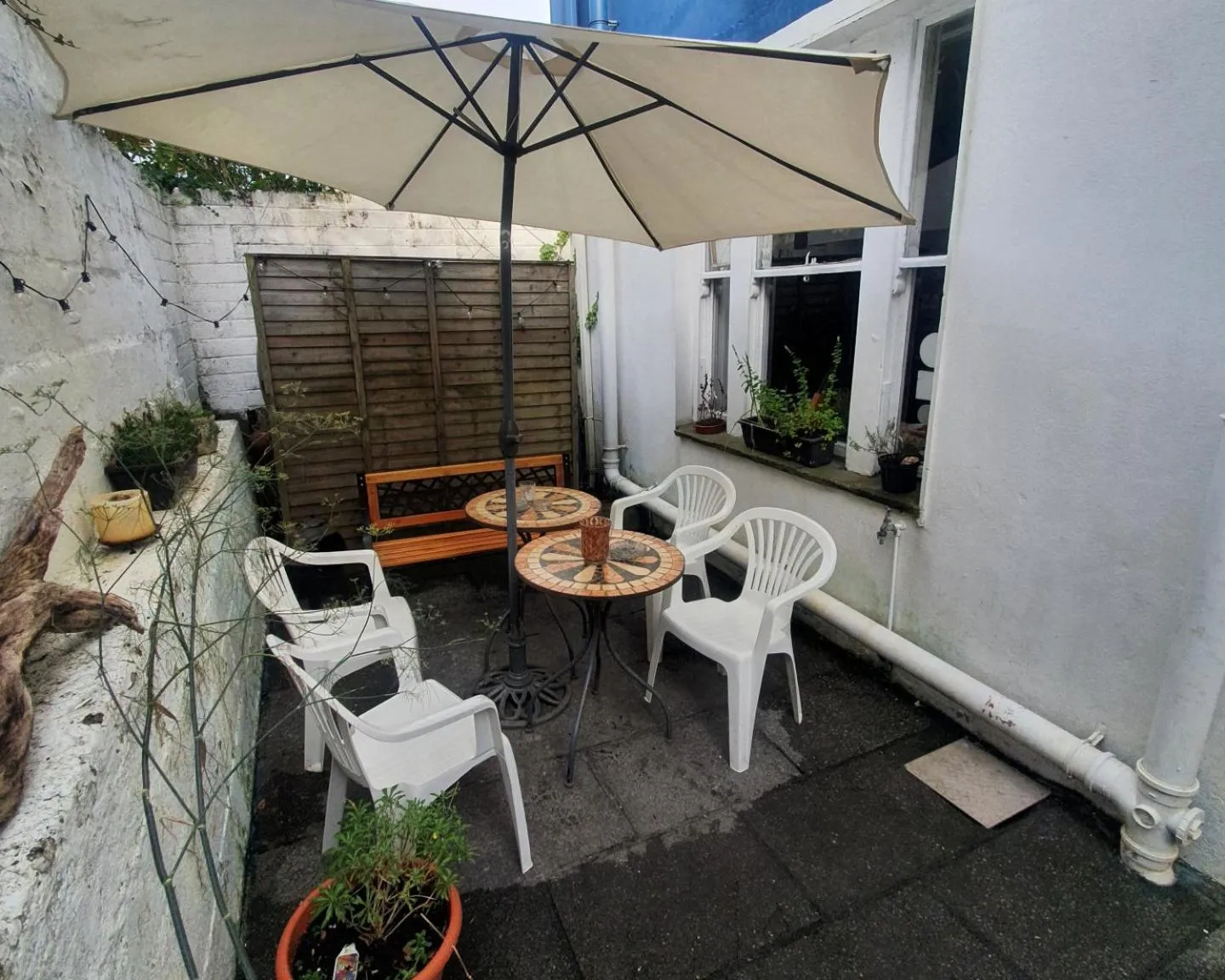 The Grapevine Hostel