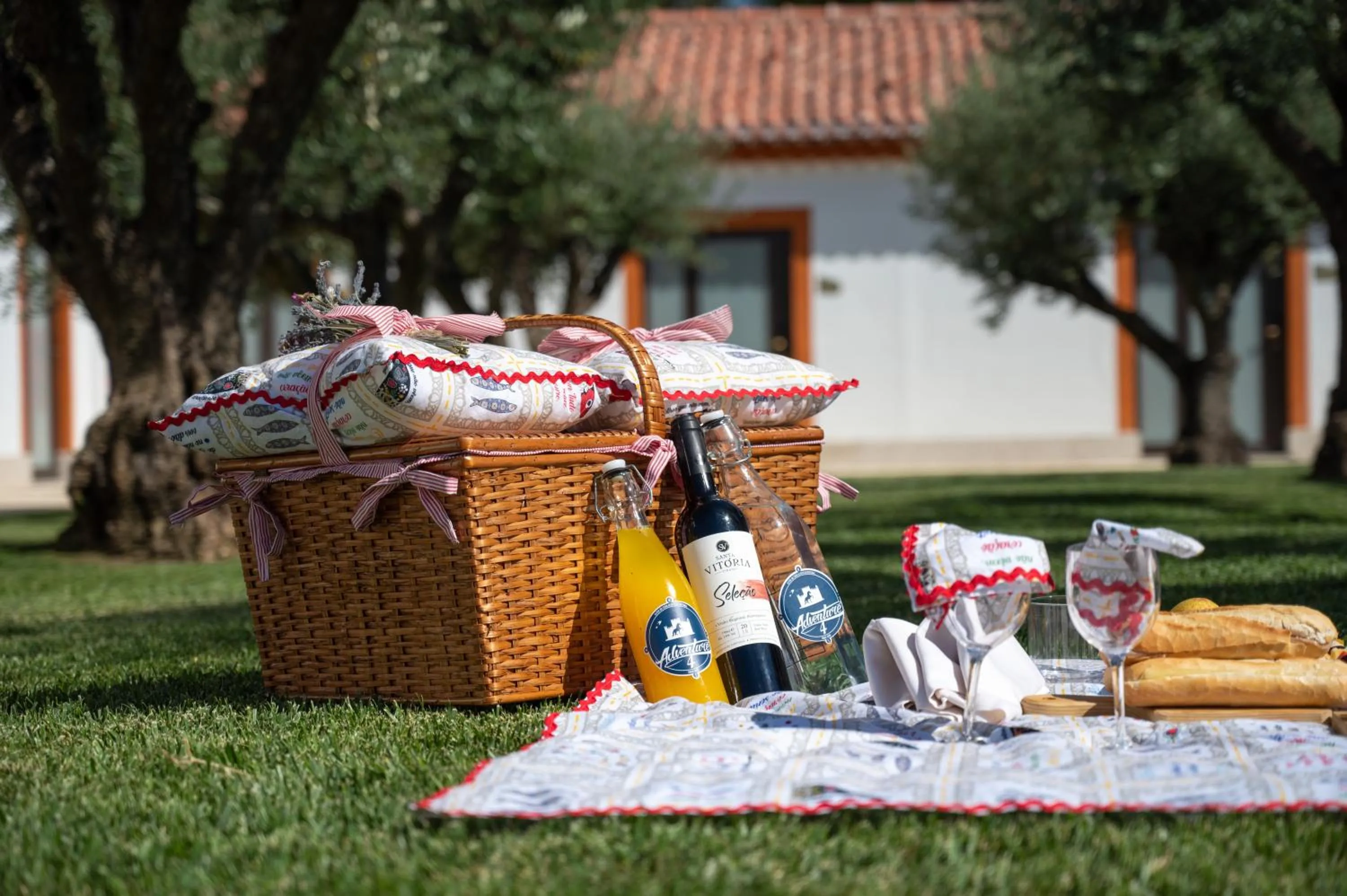 Activities in Vila Gale Collection Alter Real - Resort Equestre, Conference & Spa